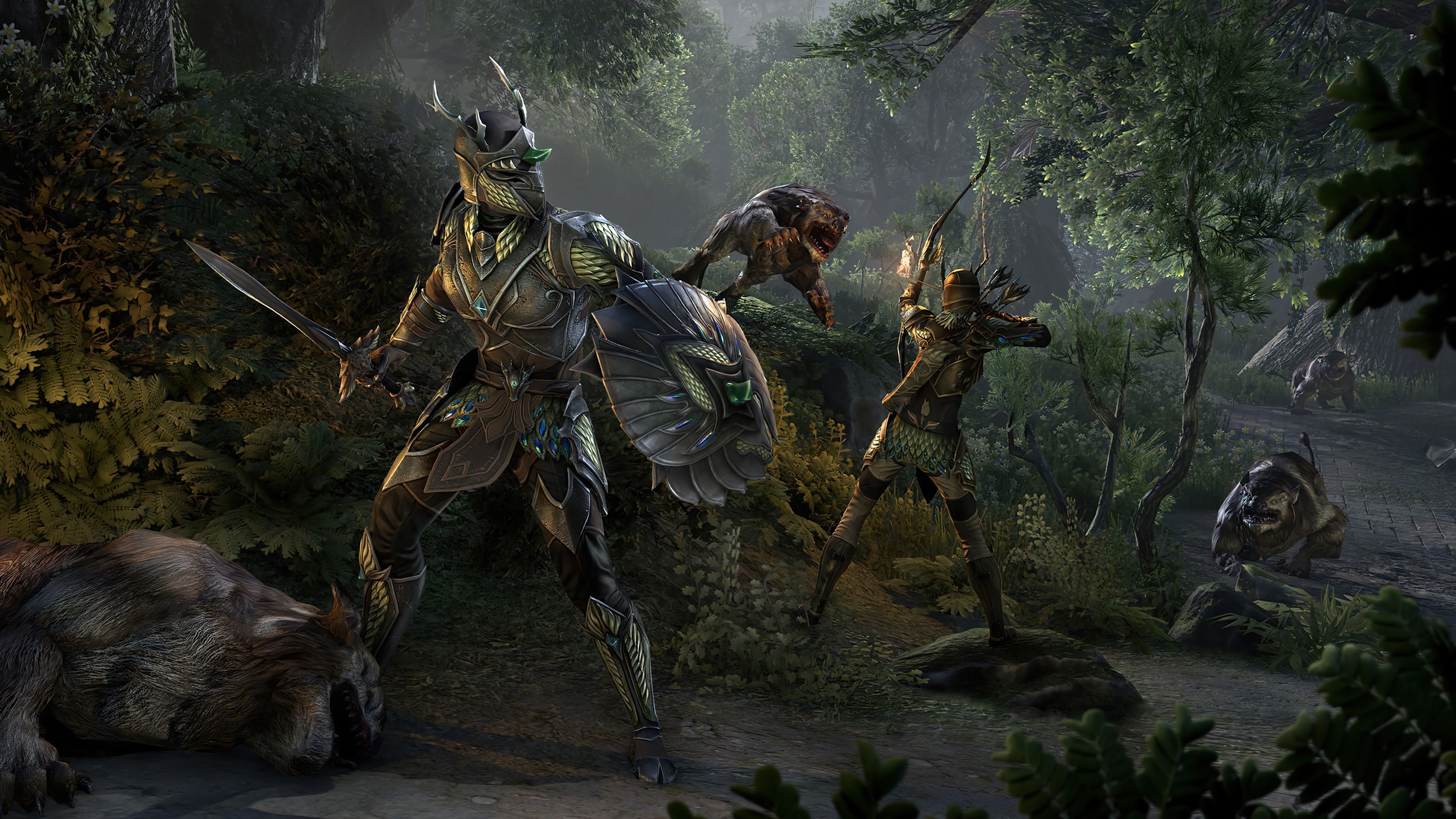 Elder Scrolls Online Wallpaper 4k HD