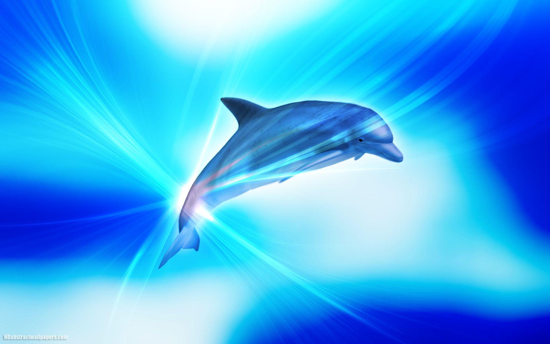 Cute Dolphins Wallpaper