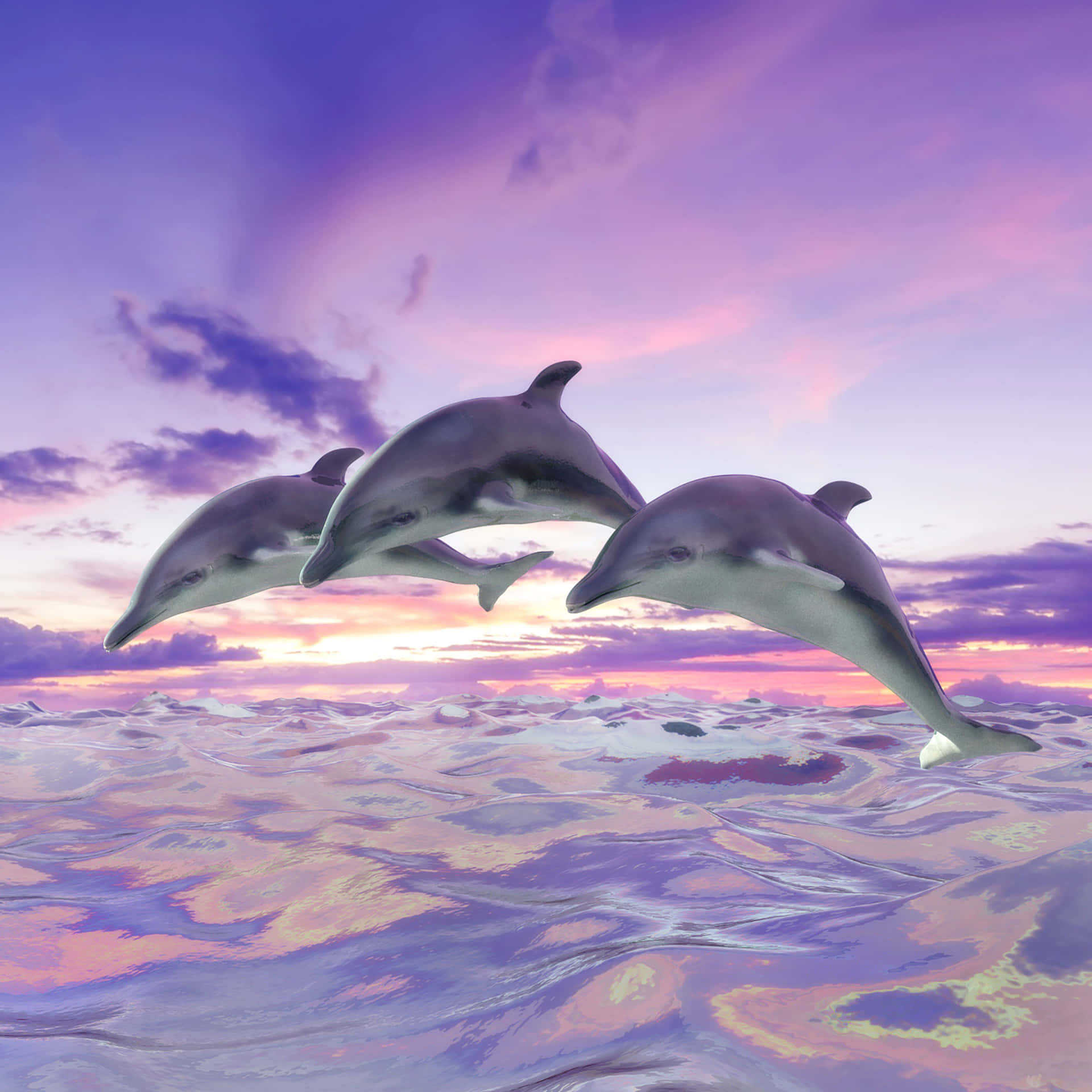 Download A beautiful and playful Pink Dolphin Wallpaper