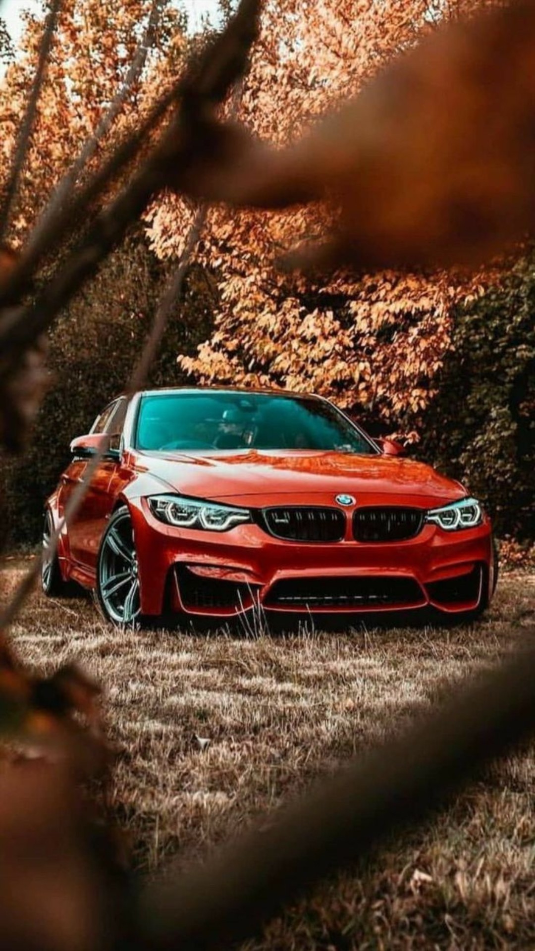 Best BMW HD Wallpaper [ Ultra HD ]