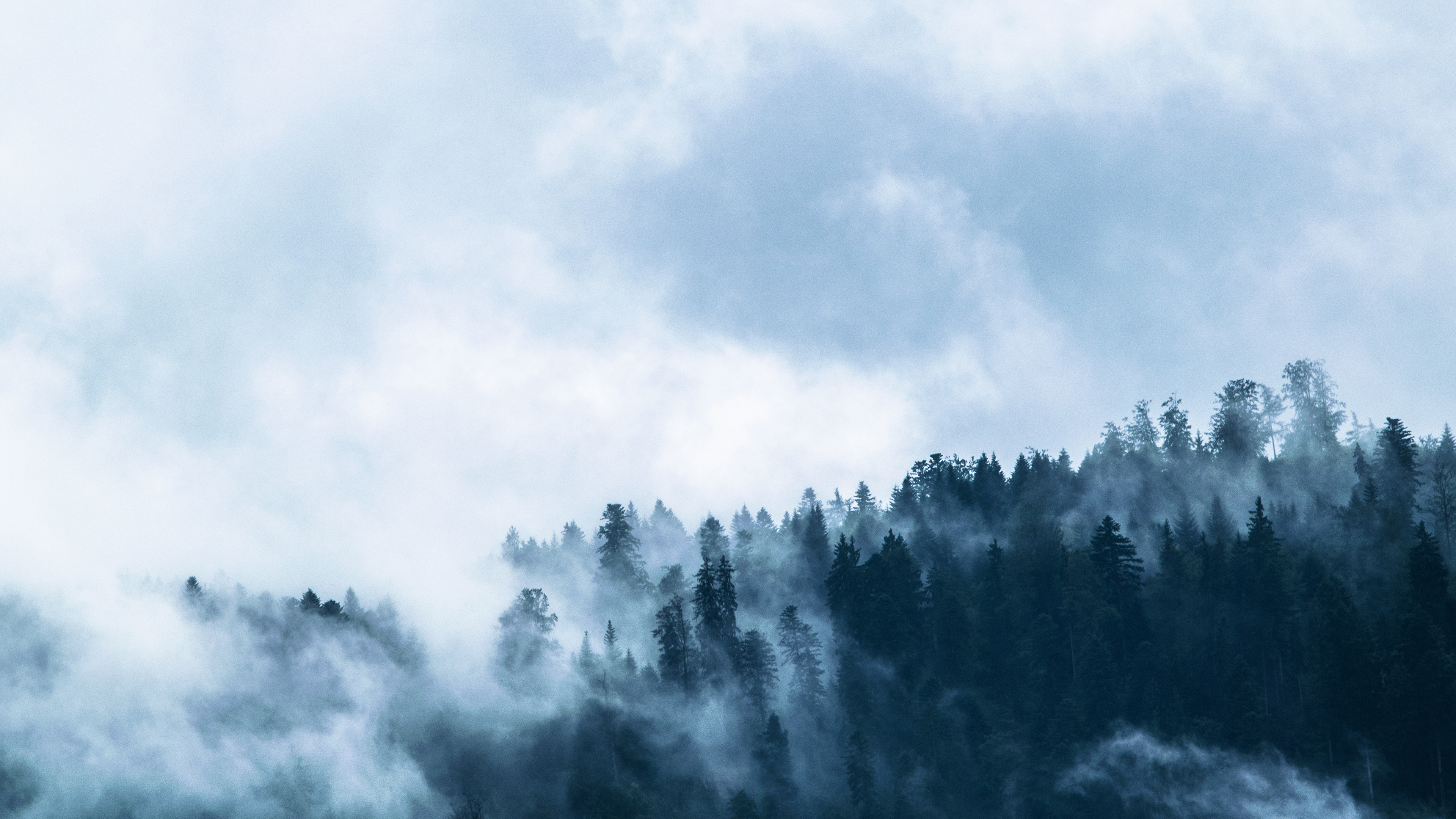 Foggy Wallpaper 4K