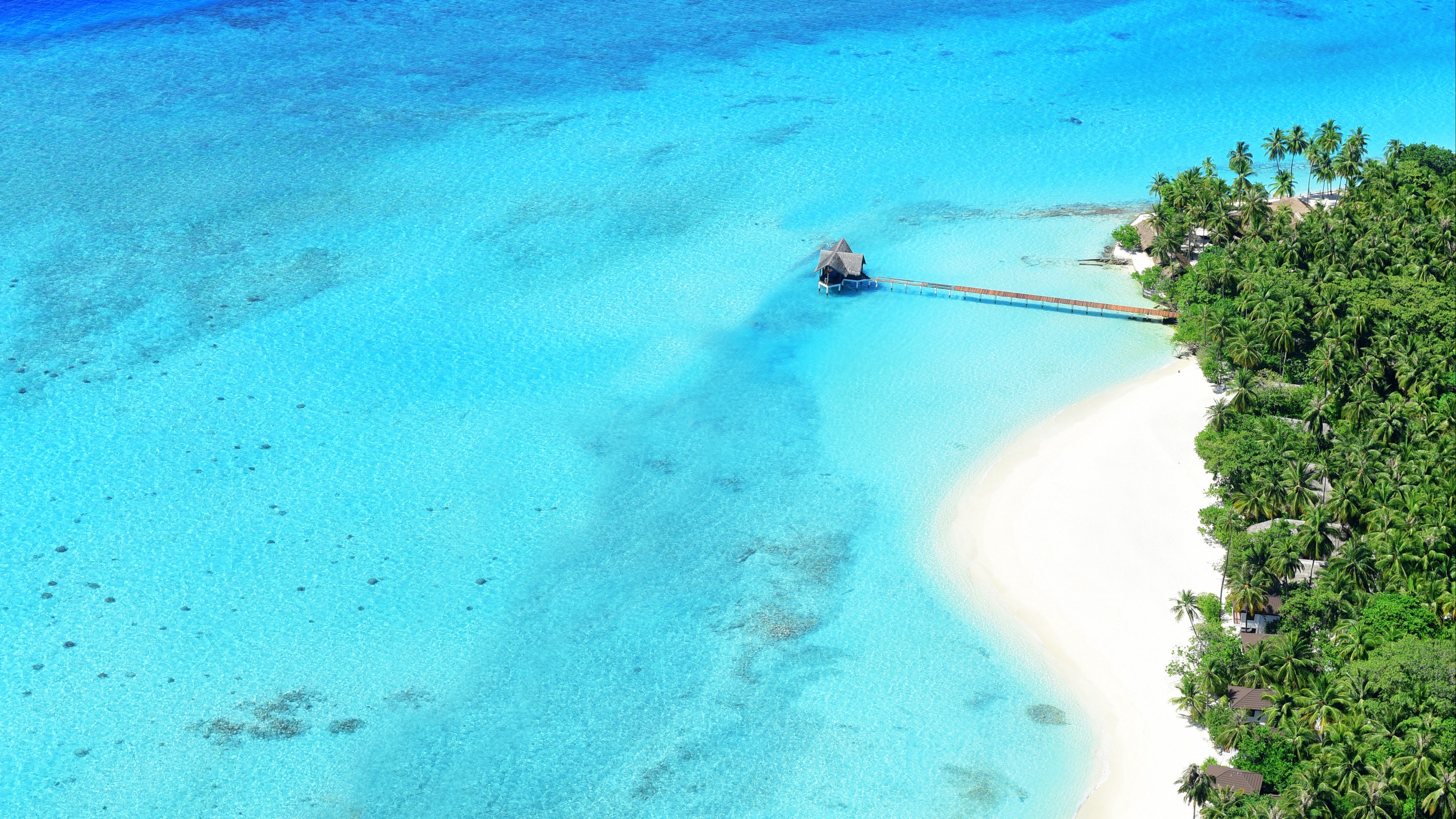 Wallpaper 4k ocean, top view, palm trees, paradise, rest, tropics 4k Wallpaper