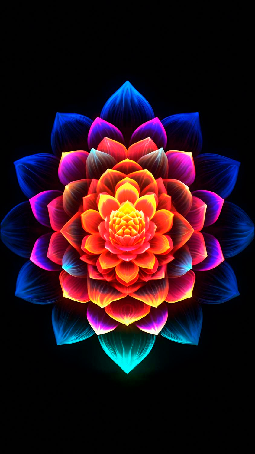 Flower OLED iPhone Wallpaper 4K iPhone Wallpaper Wallpaper Download