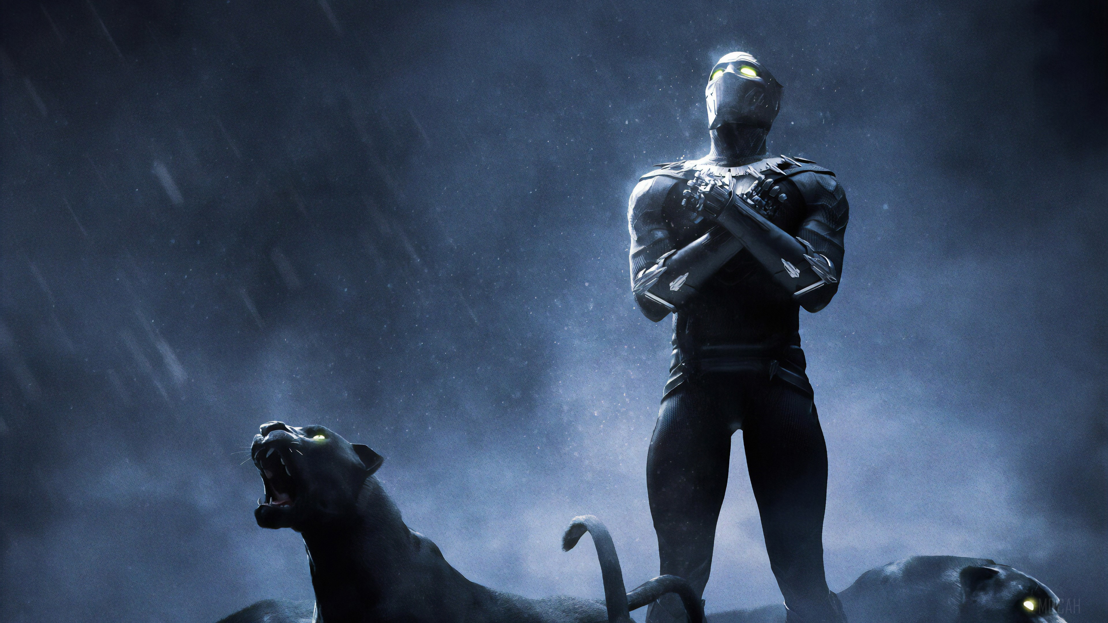 Black Panther 4k Rise Up 4k Gallery HD Wallpaper
