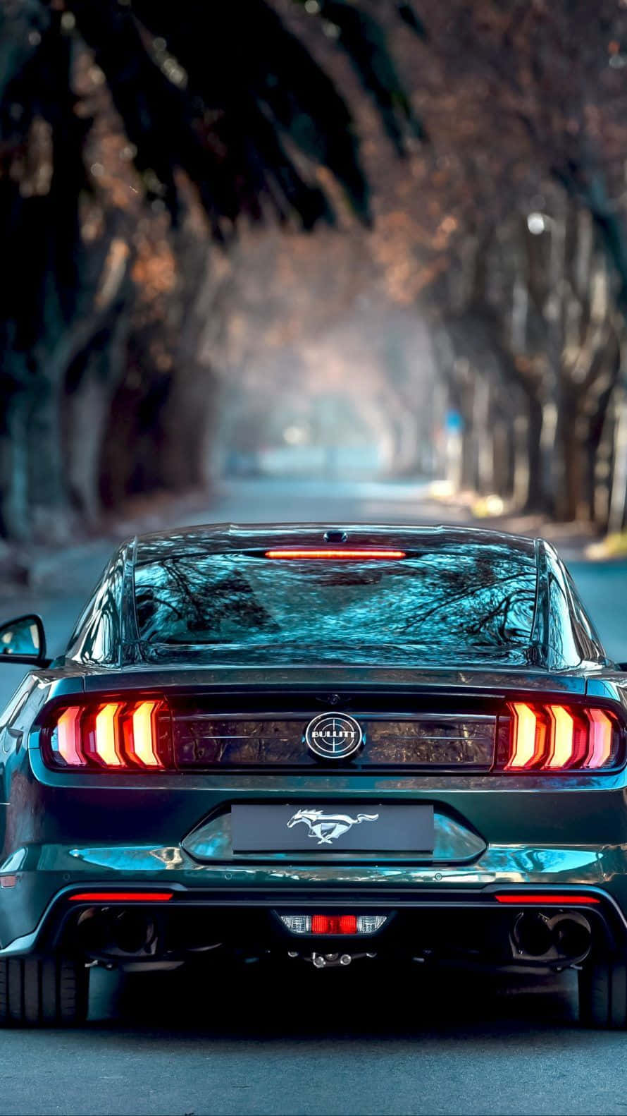 Download Take a Mustang Ride Wallpaper