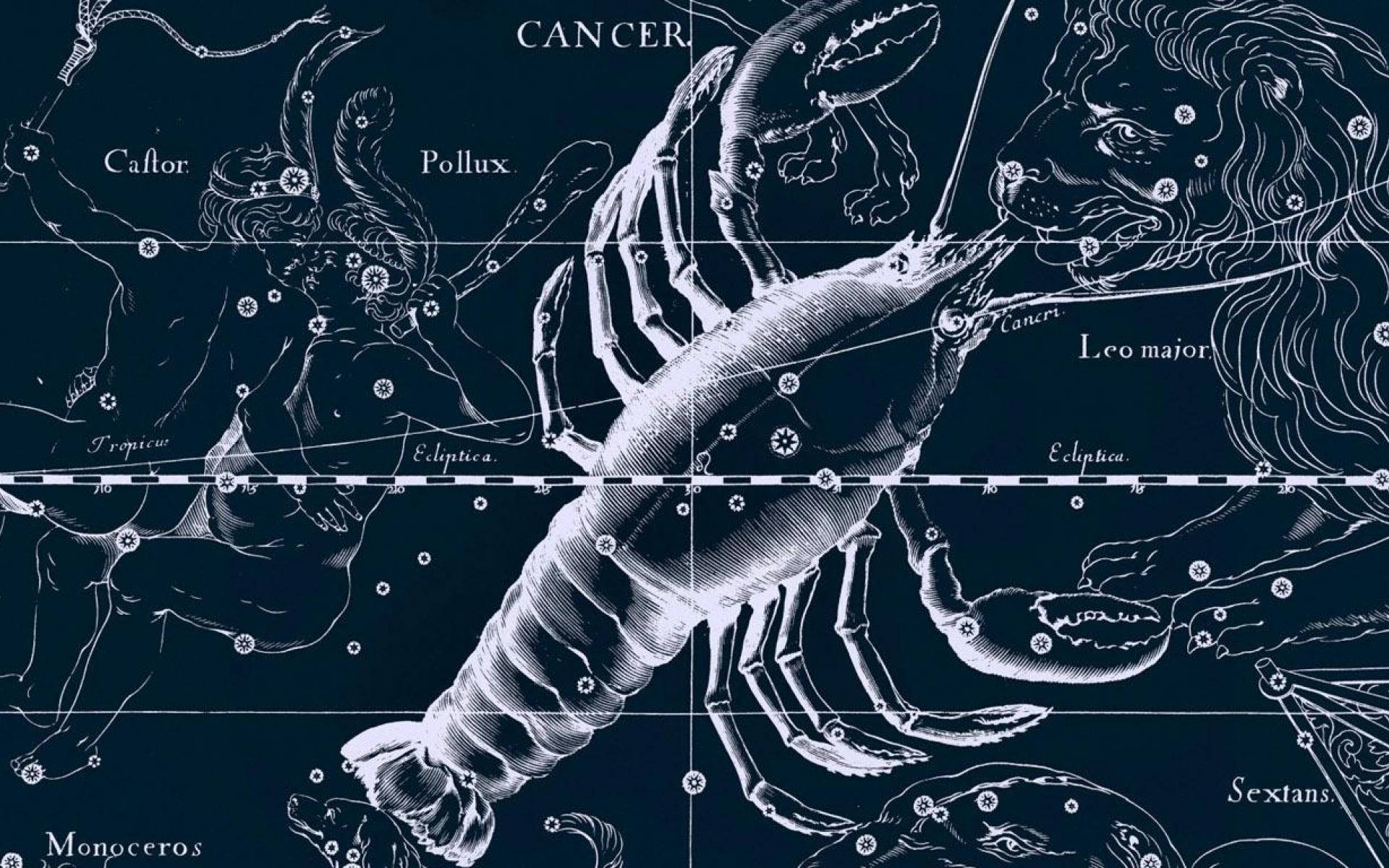 Download Cancer Zodiac Lobster And Constellations Wallpaper