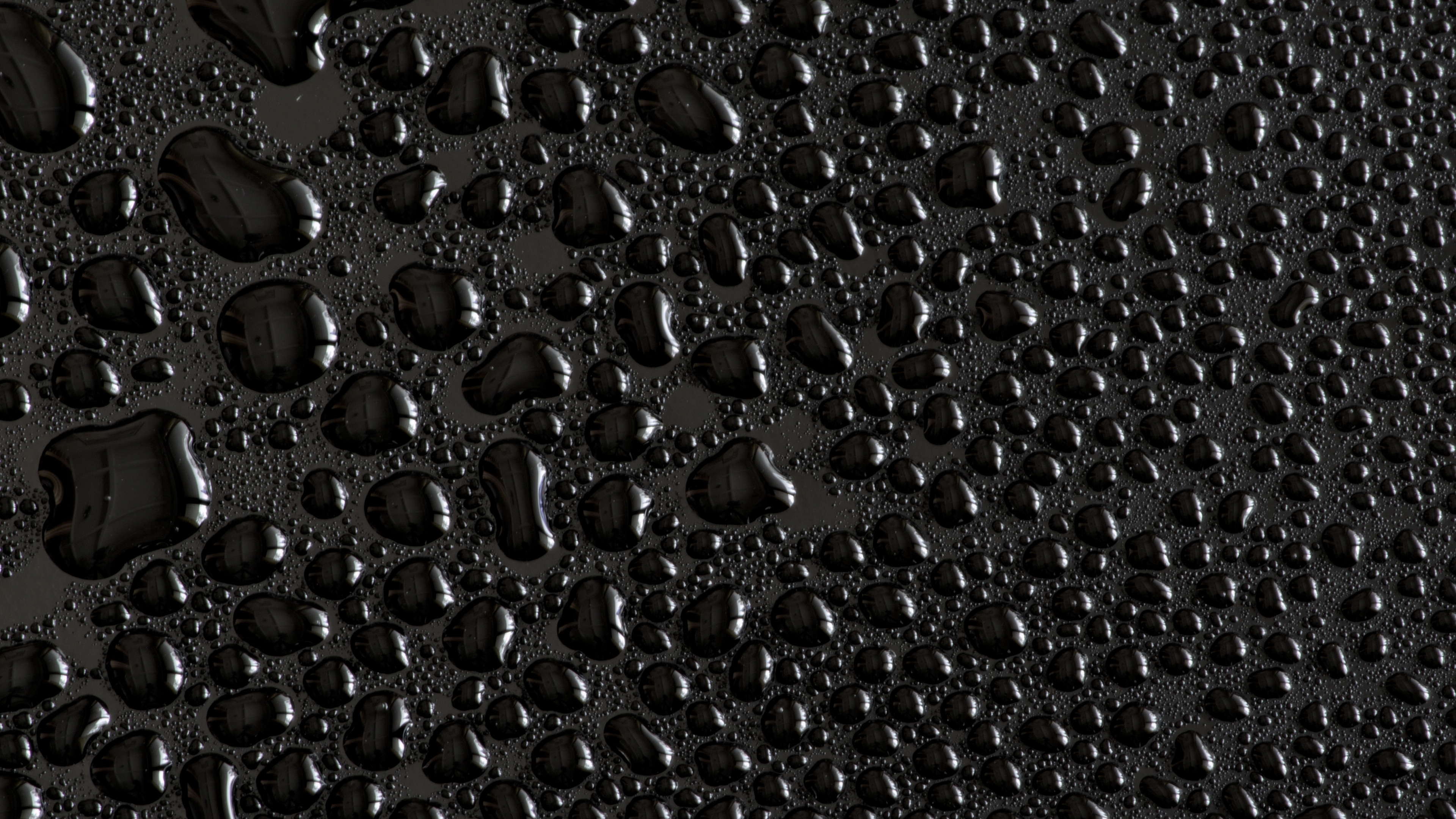 Water droplets Wallpaper 4K, Black background, Texture