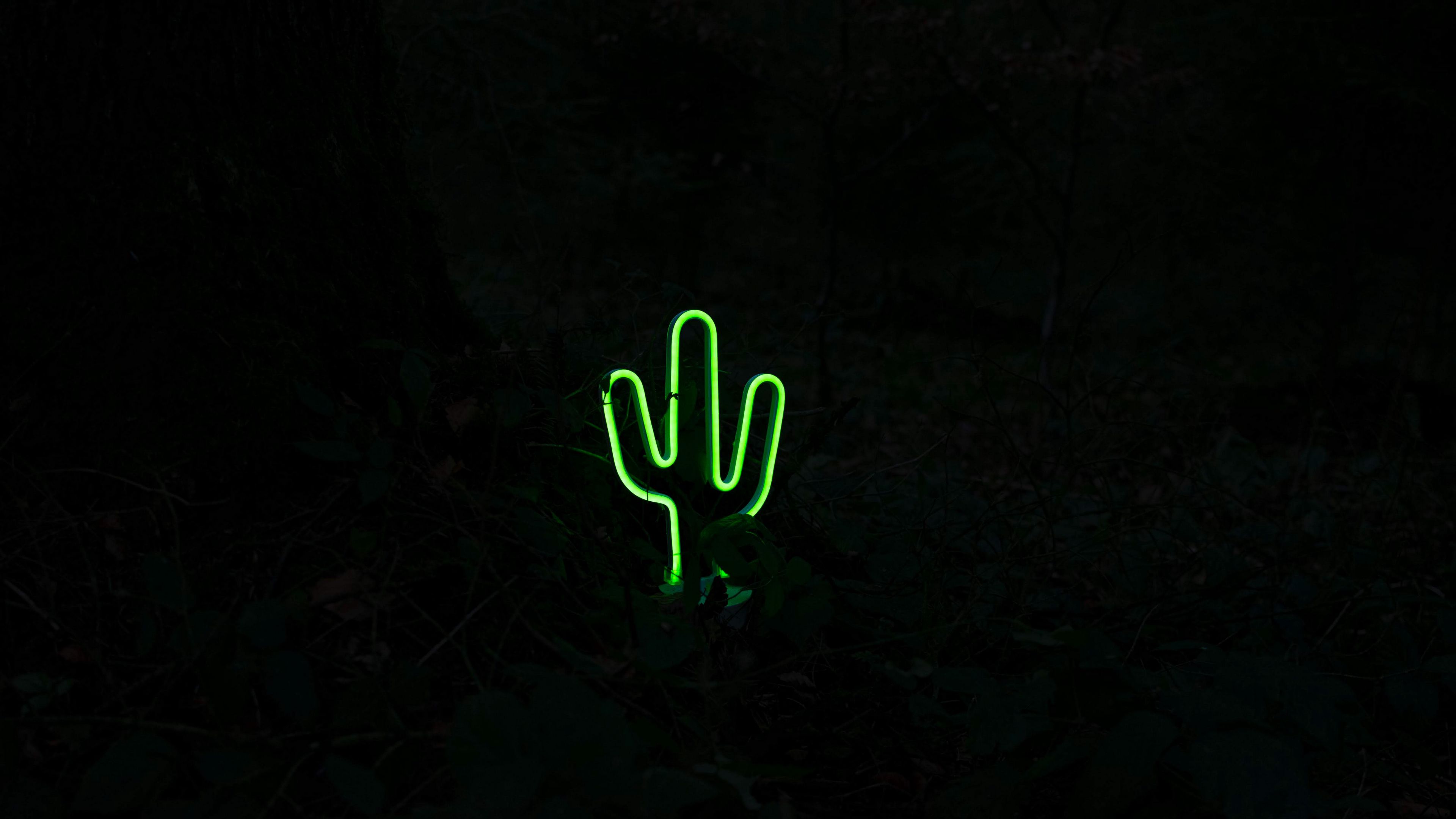 Download wallpaper 3840x2160 cactus, neon, dark, green 4k uhd 16:9 HD background