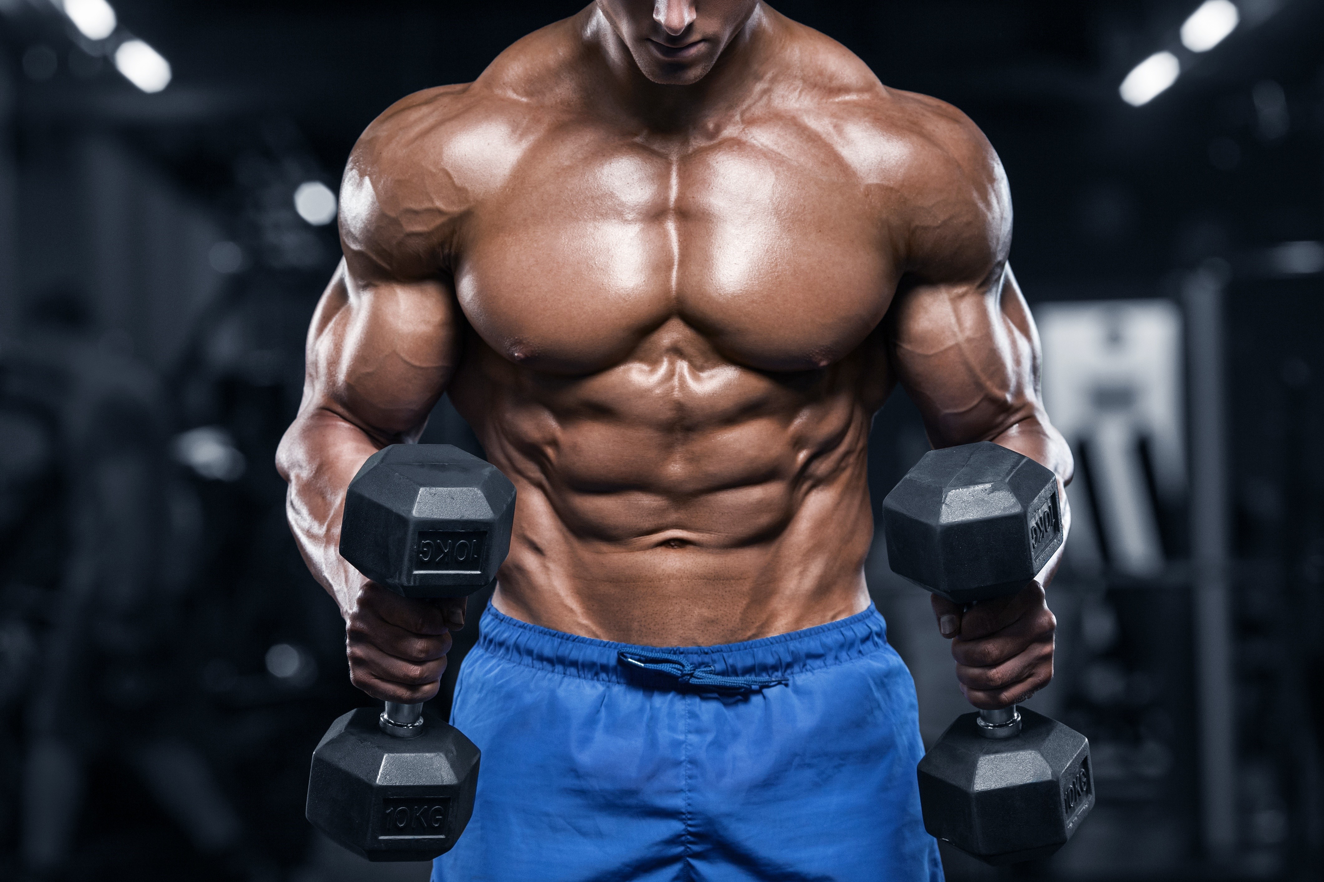 4K, Bodybuilding, Men, Hands, Muscle, Dumbbells Gallery HD Wallpaper