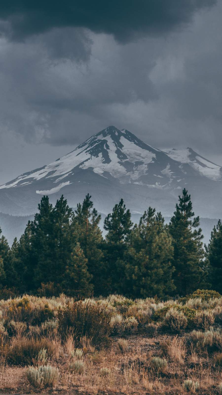 Snow Mountains View from Forest iPhone Wallpaper Wallpaper, iPhone Wallpaper
