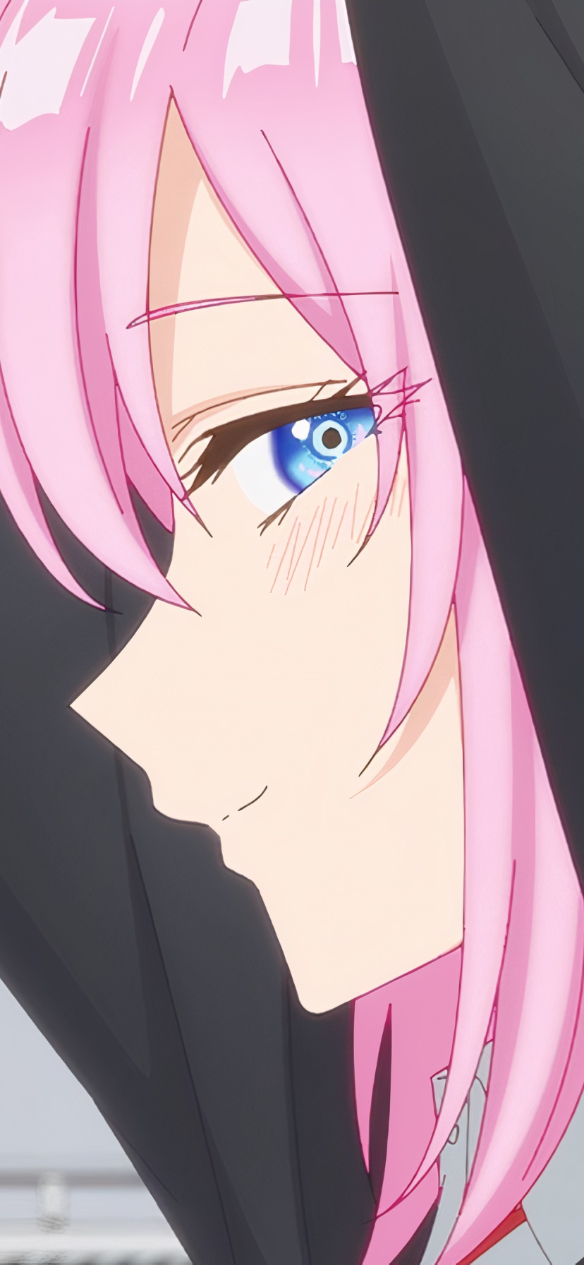 Wallpaper / Anime Shikimoris Not Just a Cutie Phone Wallpaper, Micchon Shikimori, 828x1792 free download