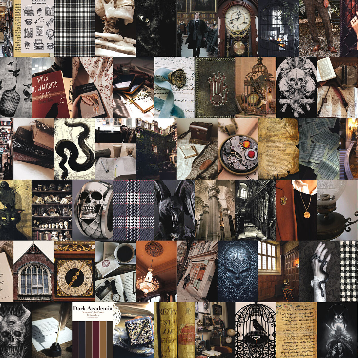 Dark academia Aesthetic wall collage kit 60 pics