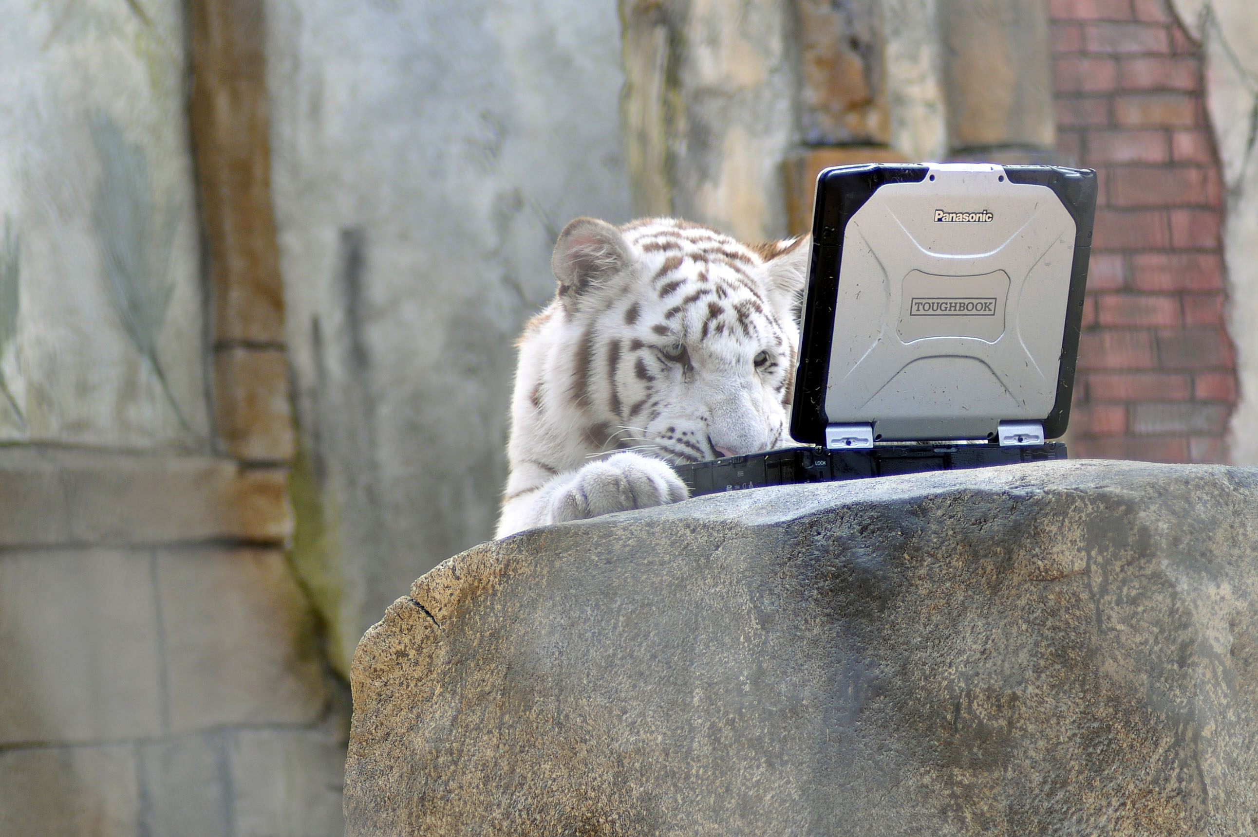 Panasonic Toughbook HD Wallpaper and Background