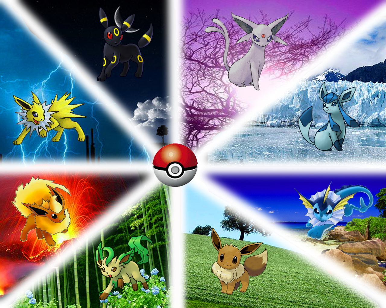 Free download pokemon eevee evolutions wallpaper all eevees evolutions wallpaper [1280x1024] for your Desktop, Mobile & Tablet. Explore All Pokemon Wallpaper. All Car Wallpaper, All Pink Wallpaper, All Wallpaper
