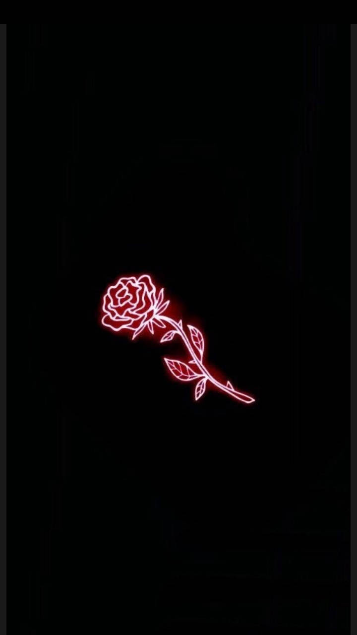 Download Red And Black Aesthetic Neon Rose Wallpaper