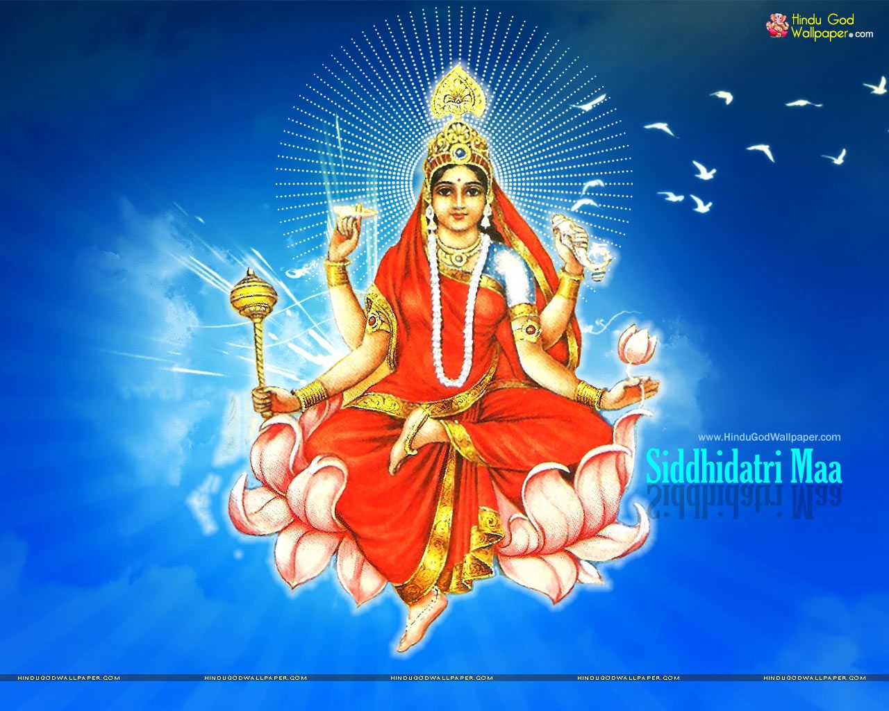 Siddhidatri Maa Wallpaper, Photo & Image Download. Maa wallpaper, Durga, Navratri wallpaper
