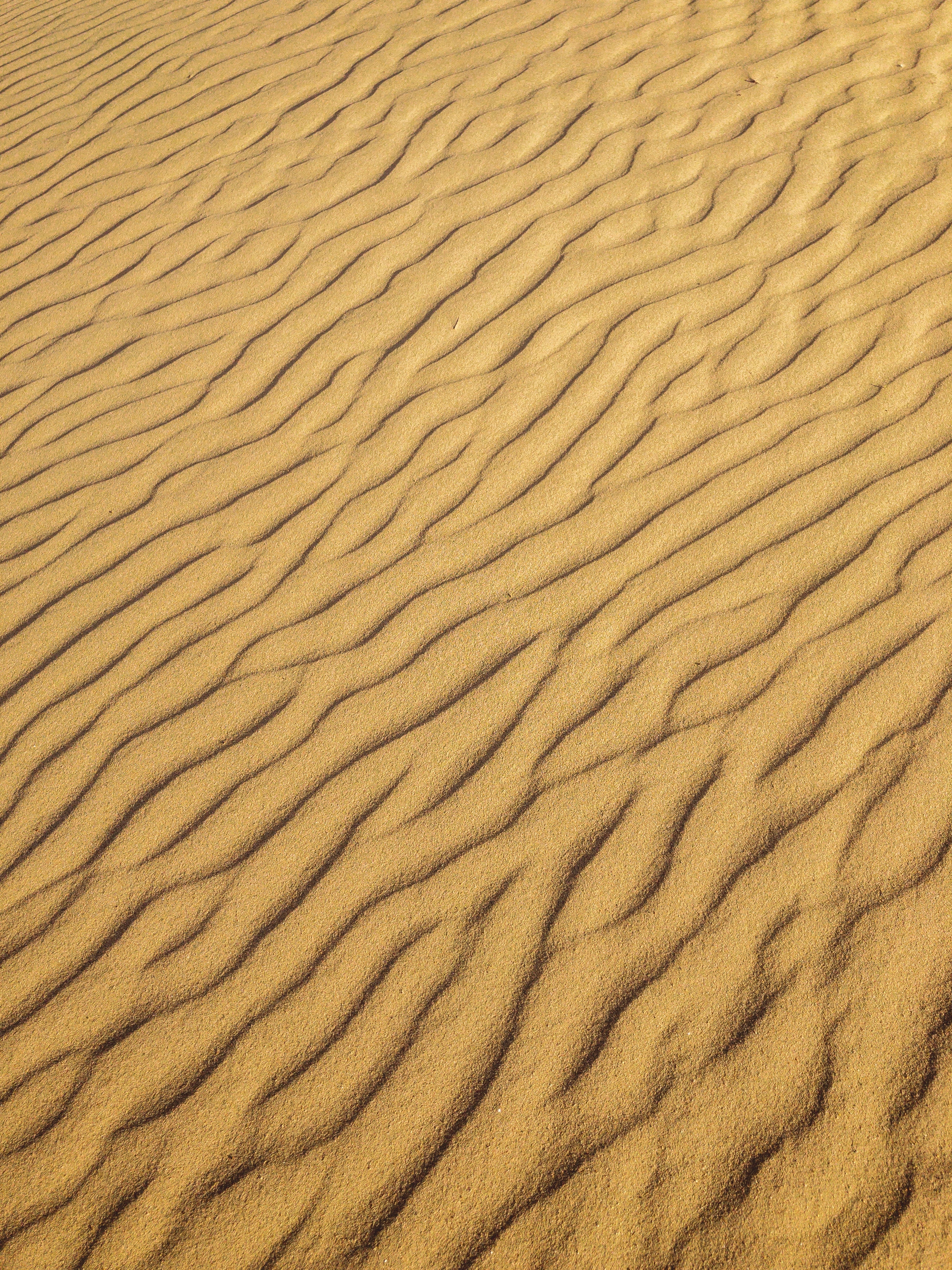Sand Texture Photo, Download The BEST Free Sand Texture & HD Image