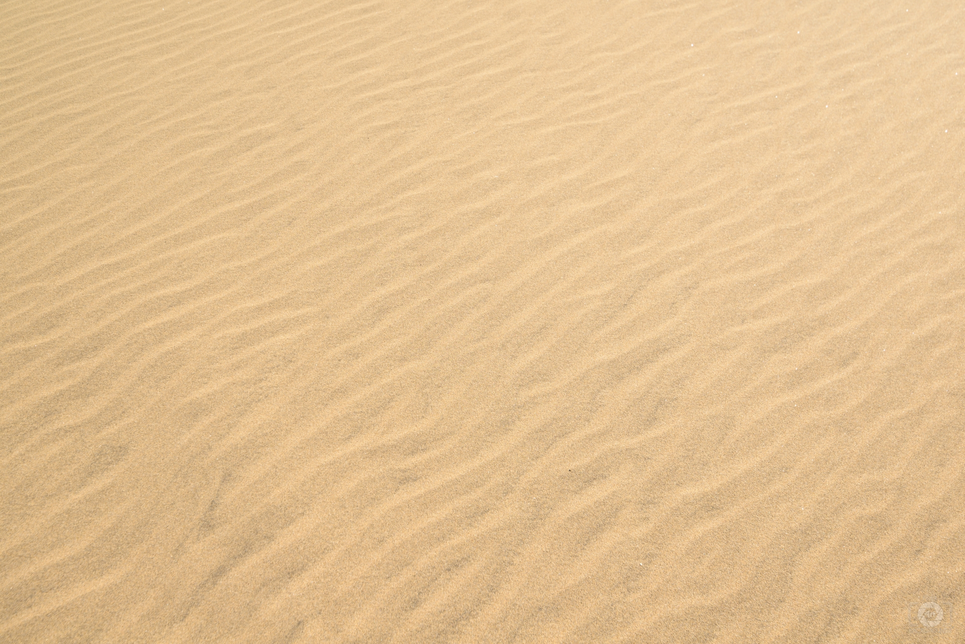 Sand Texture Quality Free Background