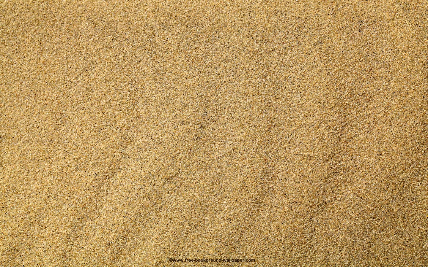 Free download the sand you walked with me footprints in the sand and [1440x900] for your Desktop, Mobile & Tablet. Explore Beach Sand Wallpaper. Sand Beach Wallpaper, White Sand