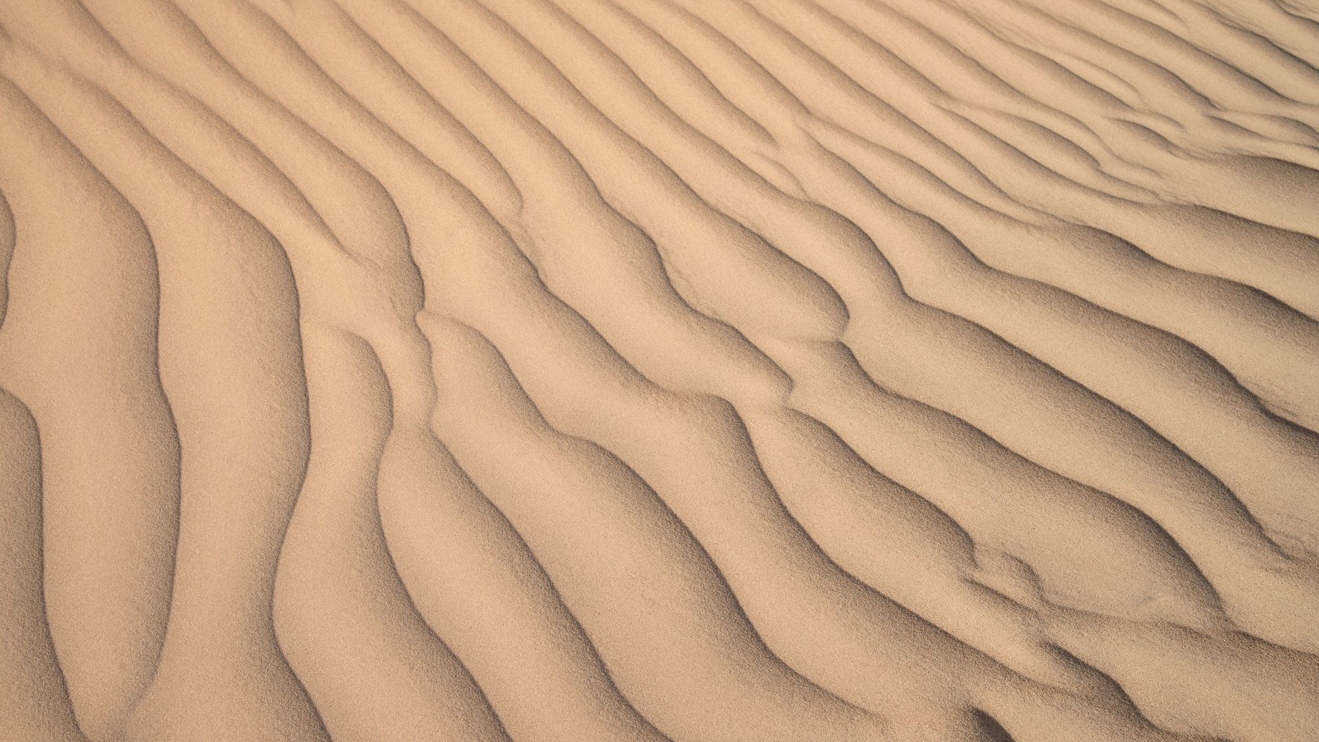 Download wallpaper 1920x1080 desert, sand, waves, relief, texture full hd, hdtv, fhd, 1080p HD background
