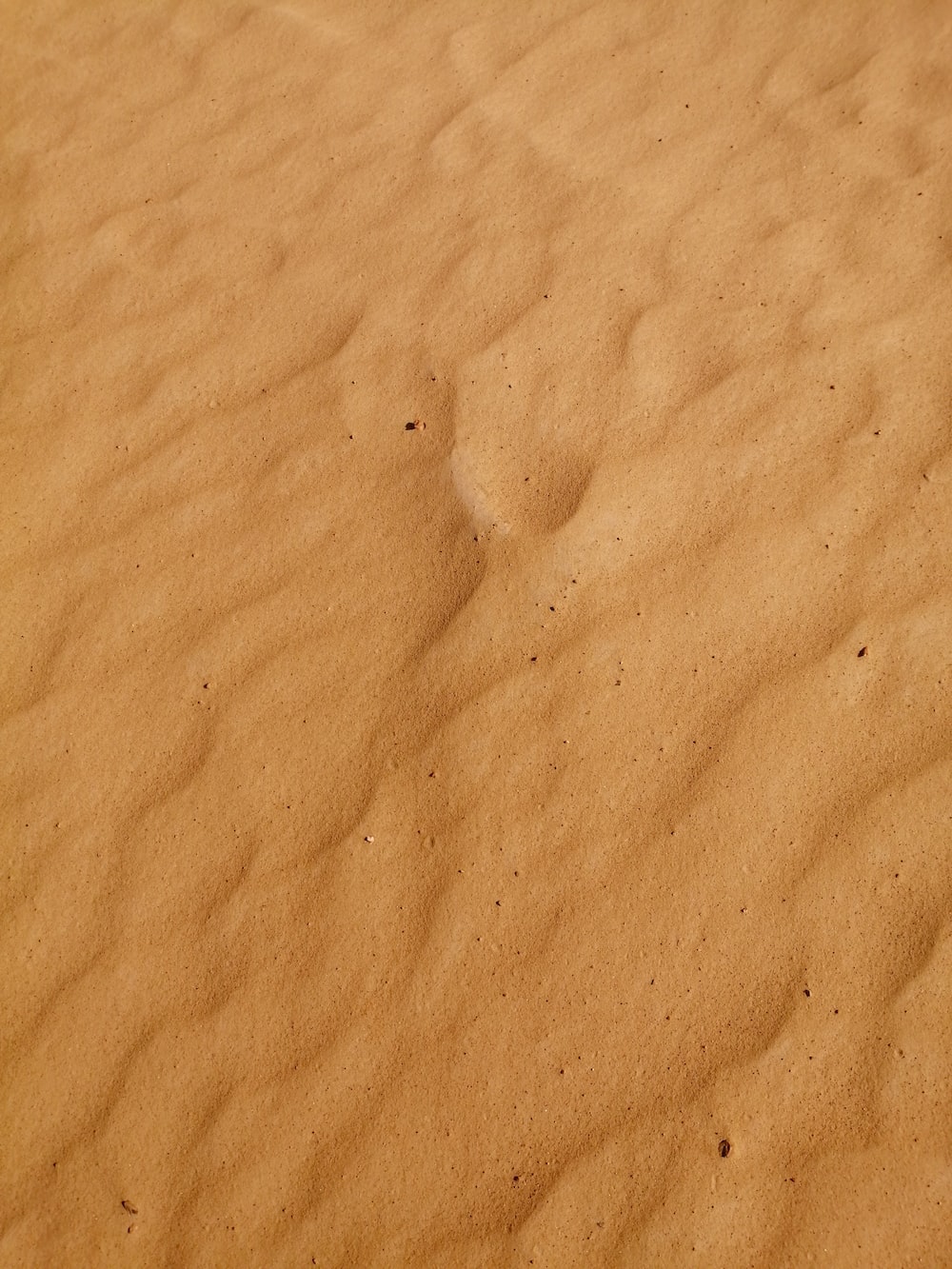 Desert Texture Picture. Download Free Image