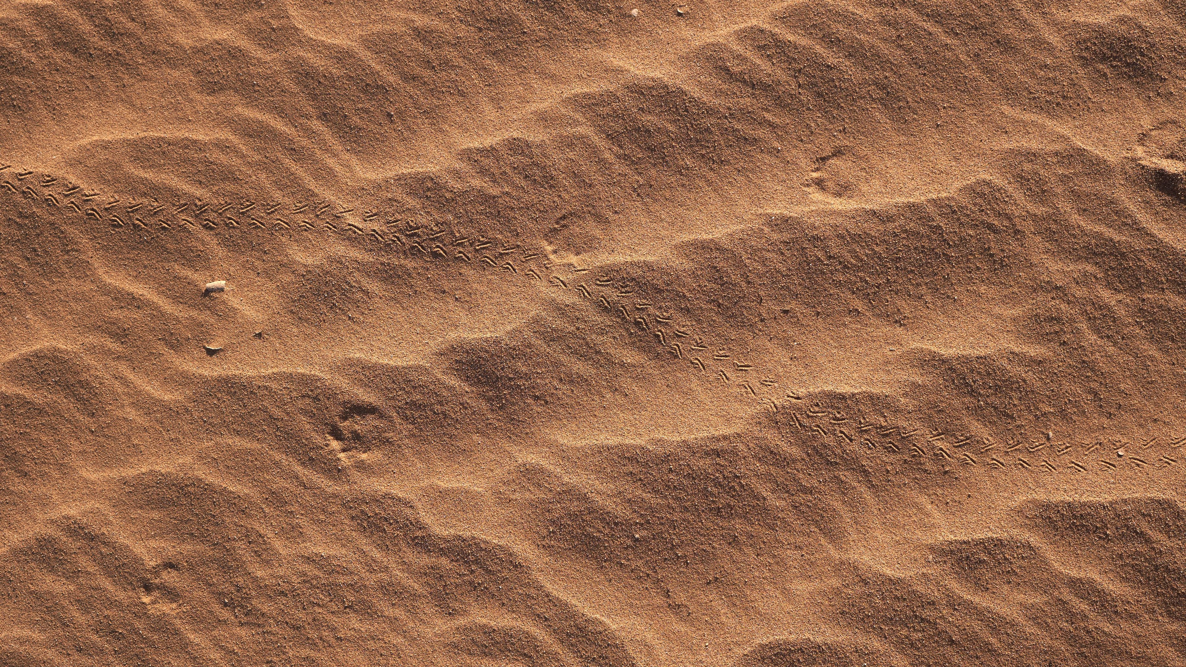 Wallpaper / texture, sand, brown, traces, 4k free download