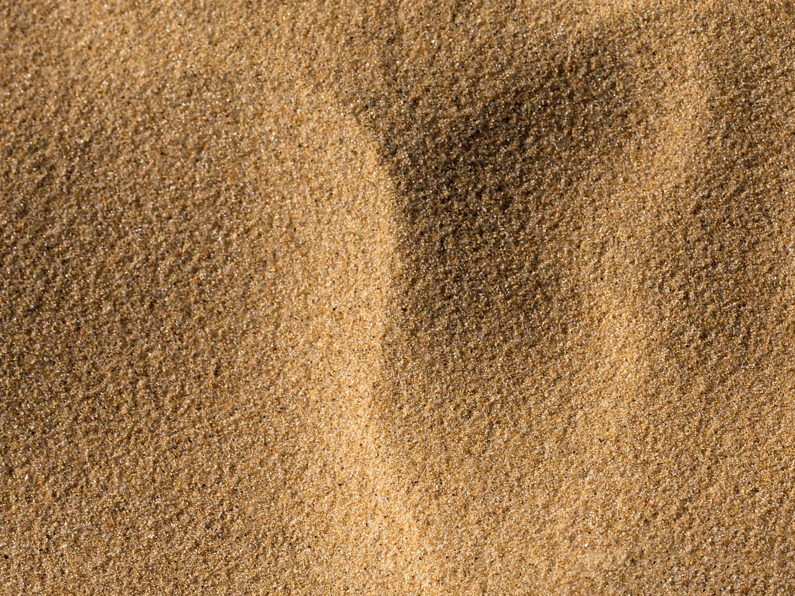 sand texture, sand, texture sand, beach, background, background, download photo, sand