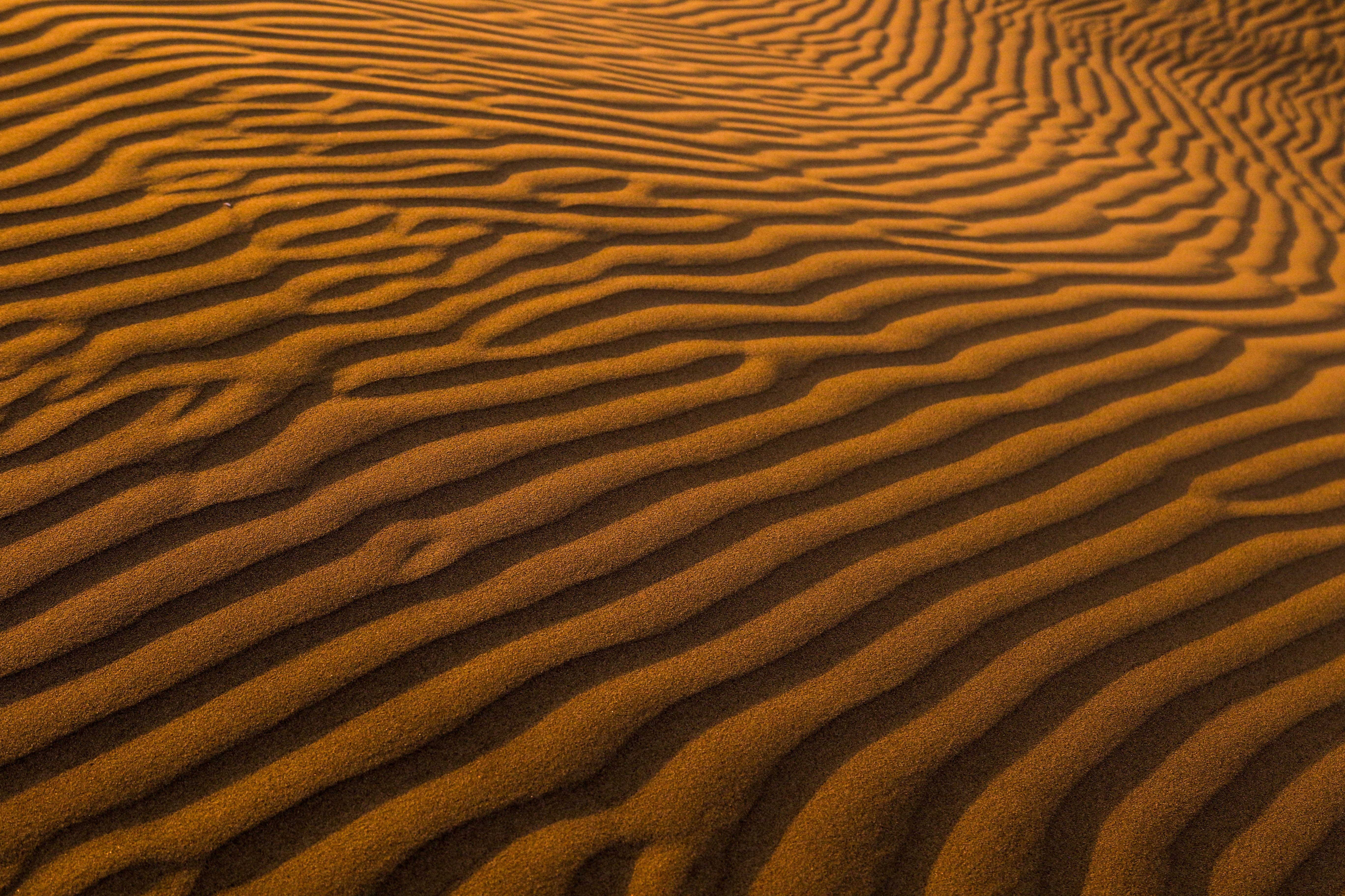 5472x3648 contrast, sand, wallpaper, desktop background, beach, sand dune, dune, coast, pismo beach, background, wind, desktop wallpaper, wallpaper, Free image, pattern, simple, desktop background, ripple, texture, hill, amazing w