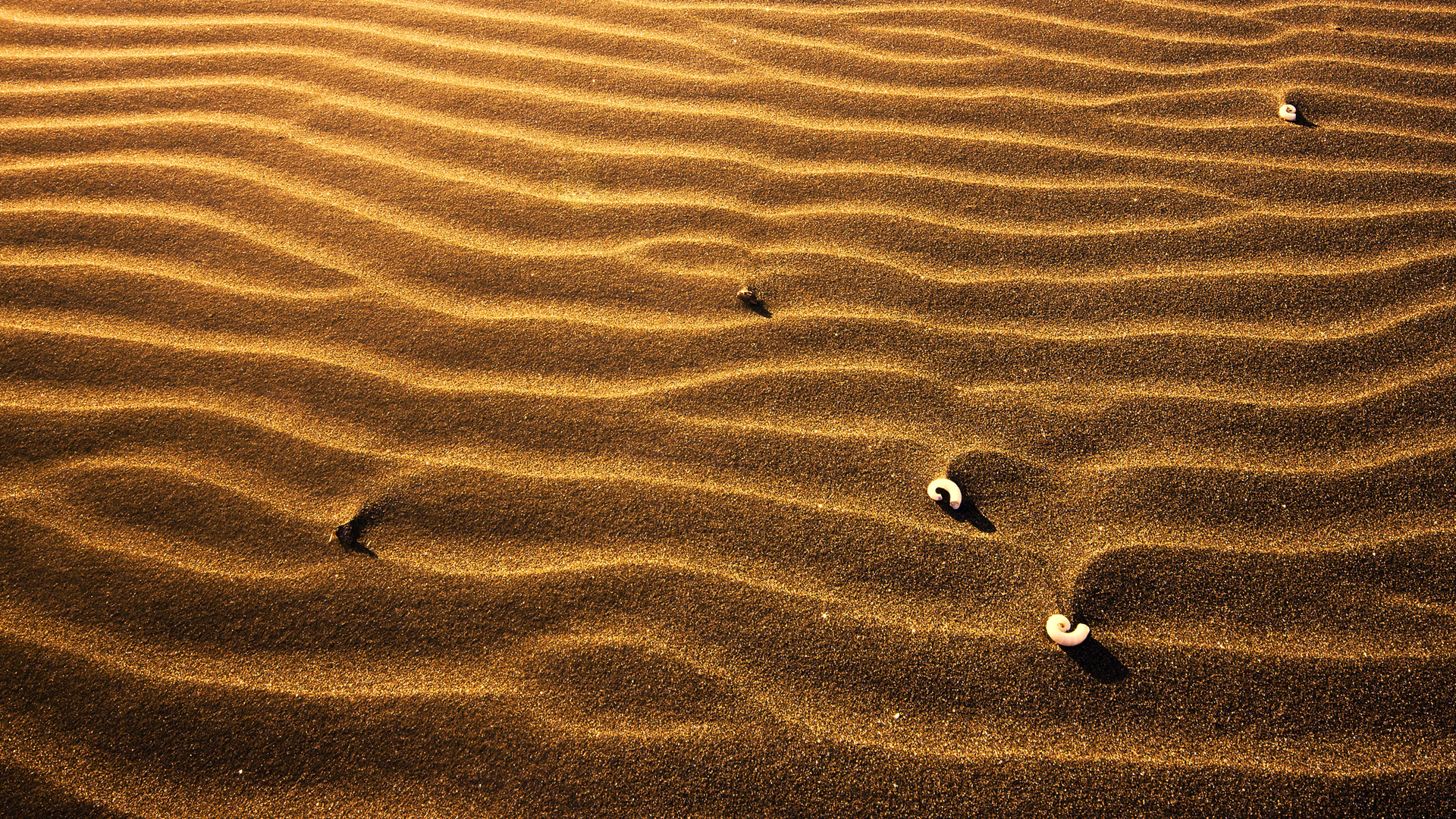 Nature Desert HD Wallpaper