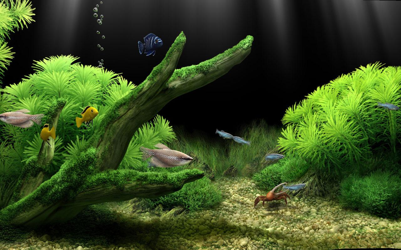Aquarium Wallpaper 01 - [1280x800]