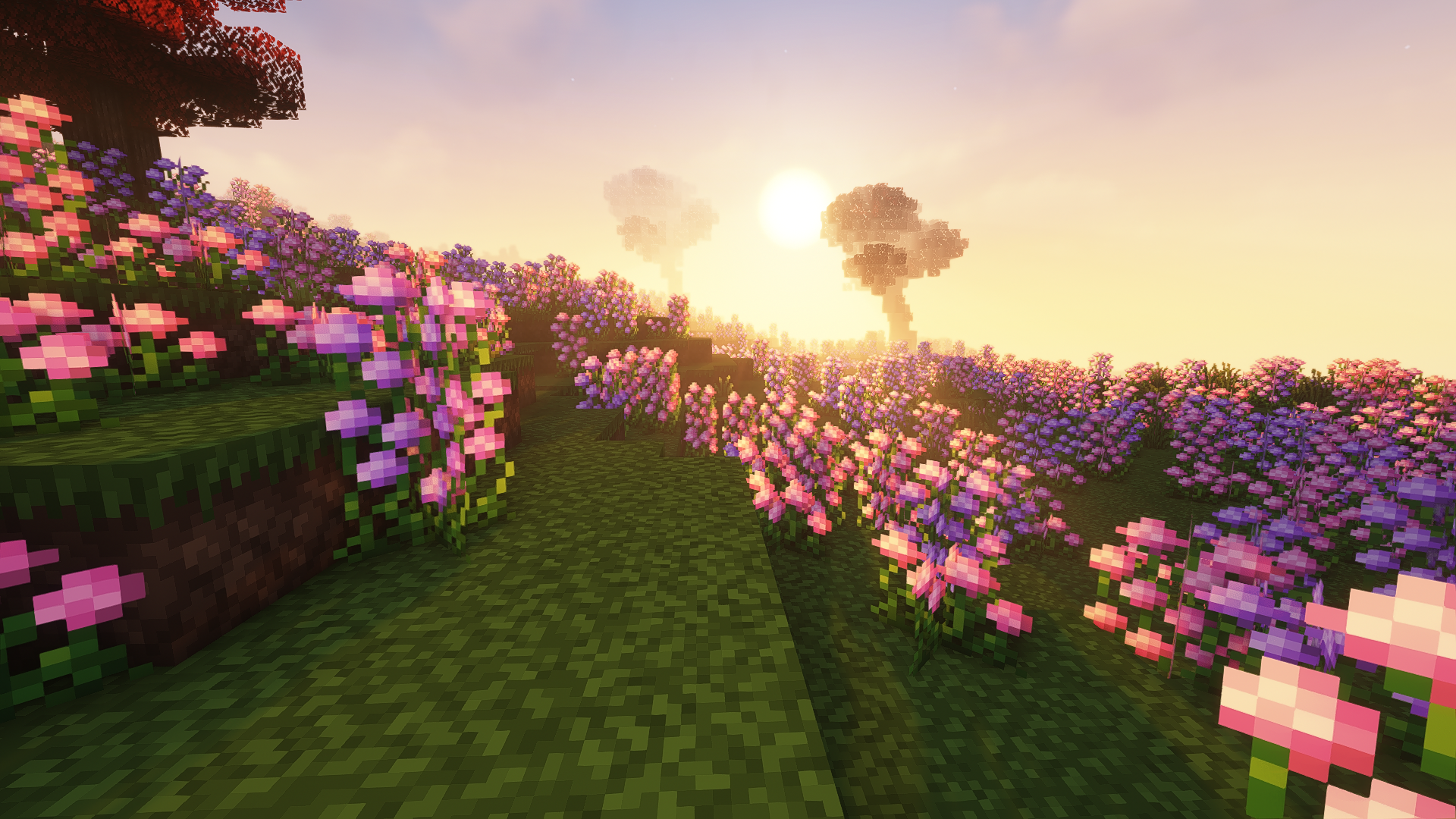 Minecraft, sunset, landscape, shaders, CGI, video games, flowers, sunset glowx1080 Wallpaper