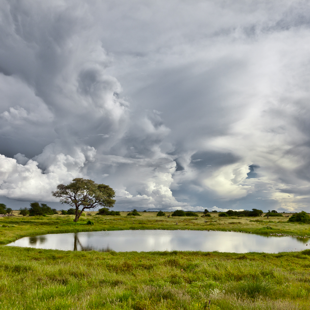 InterfaceLIFT Wallpaper: The Water Hole
