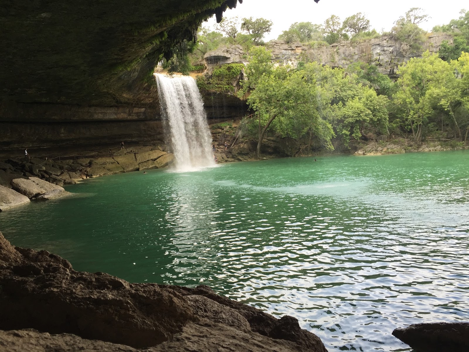 Our Favorite Watering Holes Active Kids