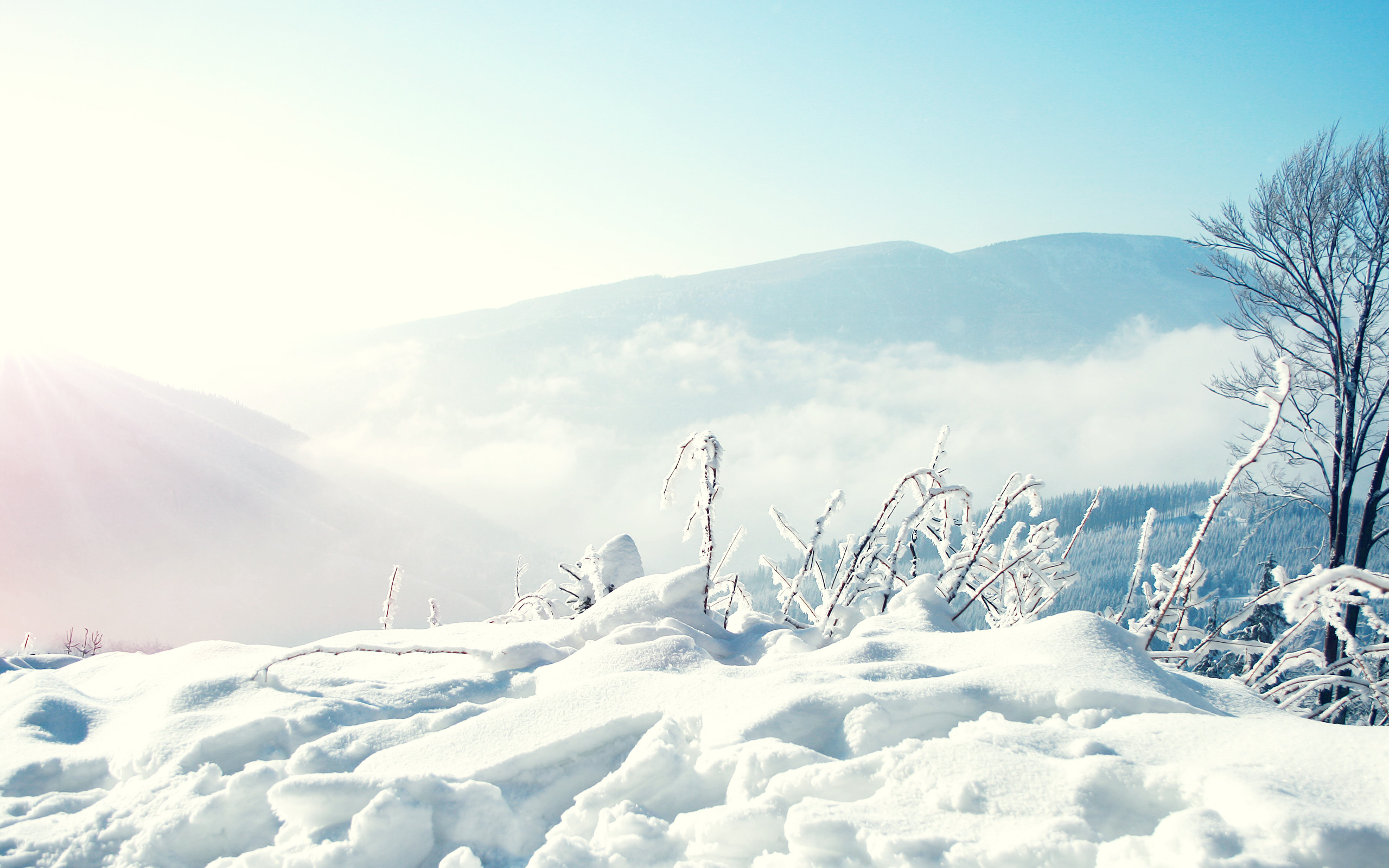 Winter Mountain Wallpaper