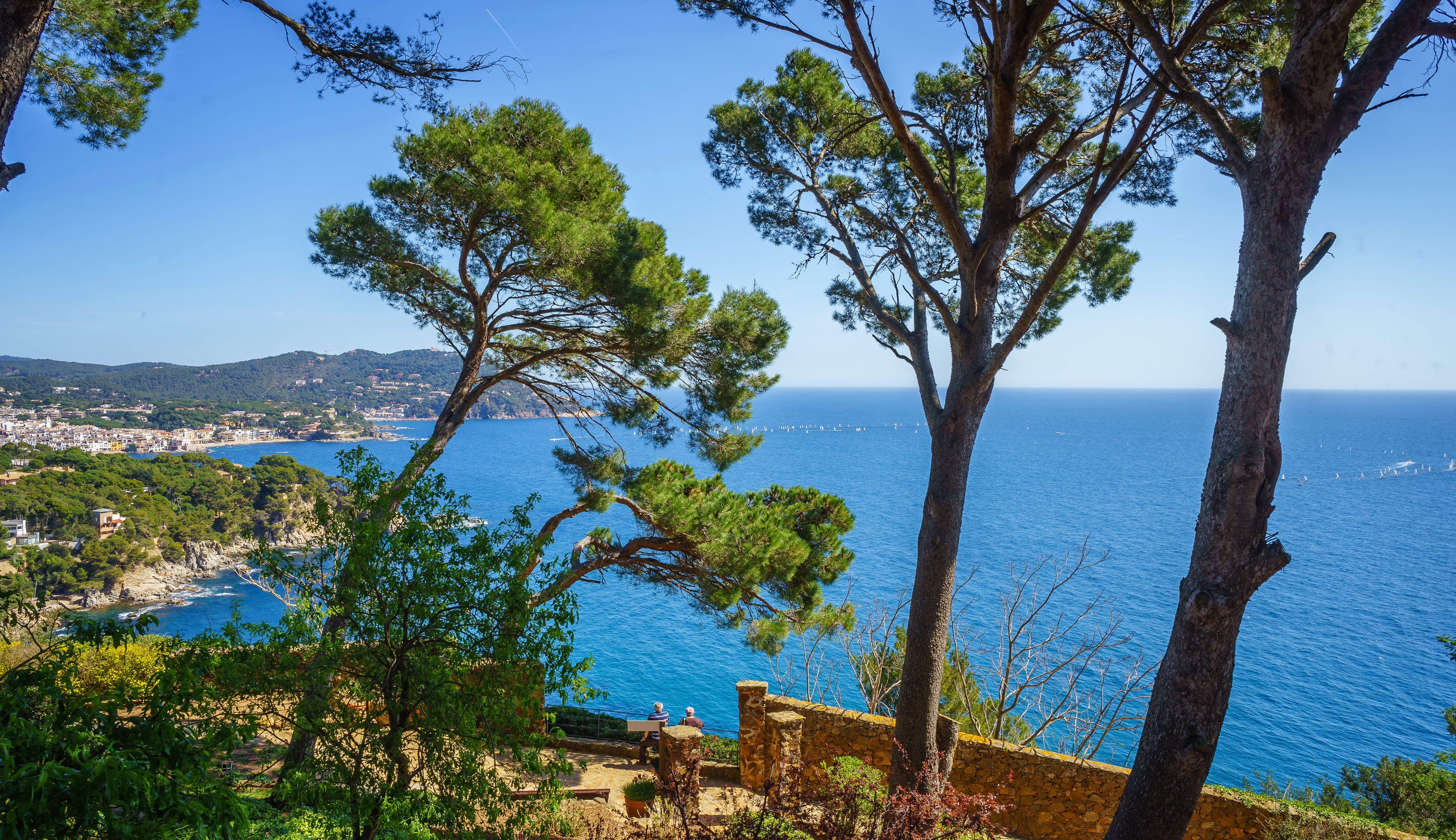 4K, 5K, Costa Brava, Spain, Coast, Sea, Trees Gallery HD Wallpaper