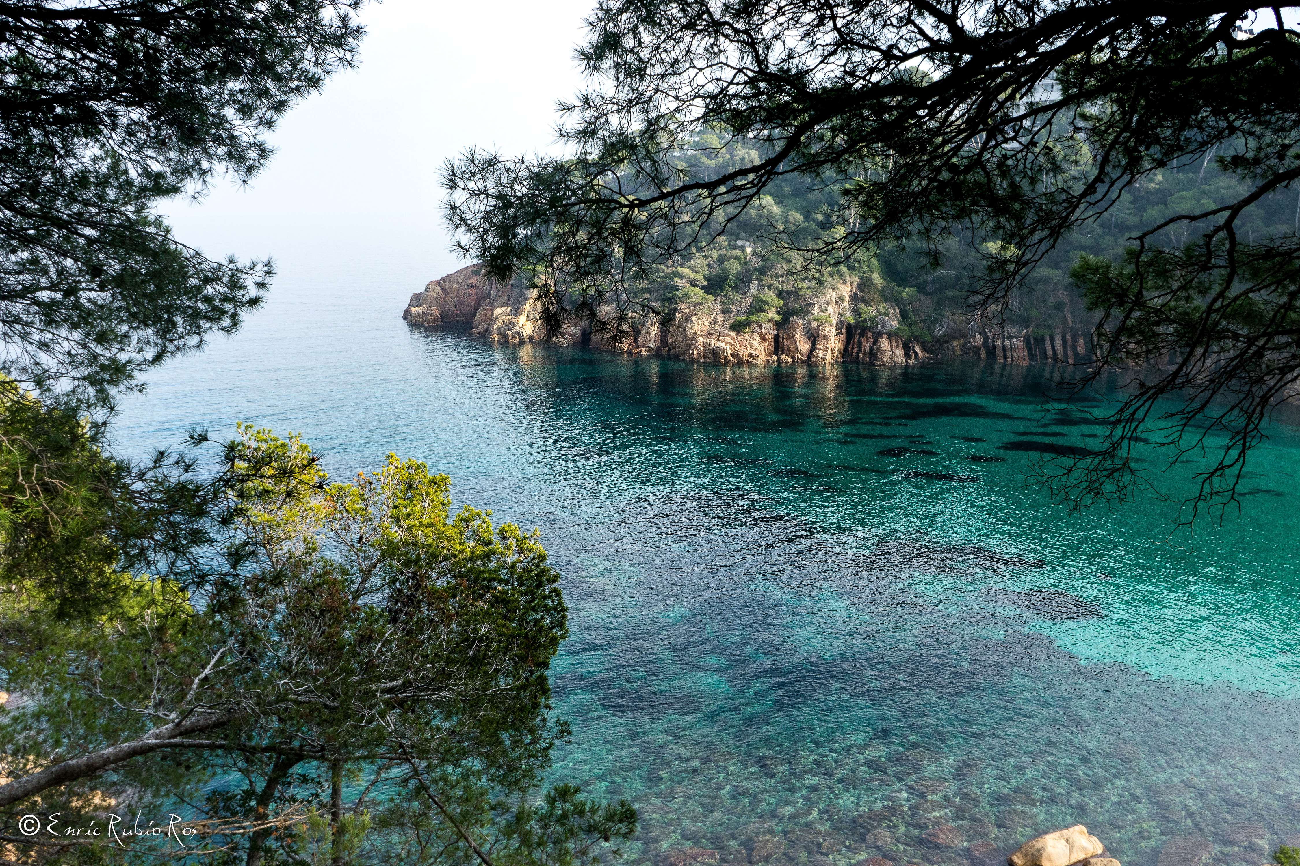 Wallpaper. Beautiful picture. photo. picture. Spain, sea, Costa Brava Girona, rock, branches