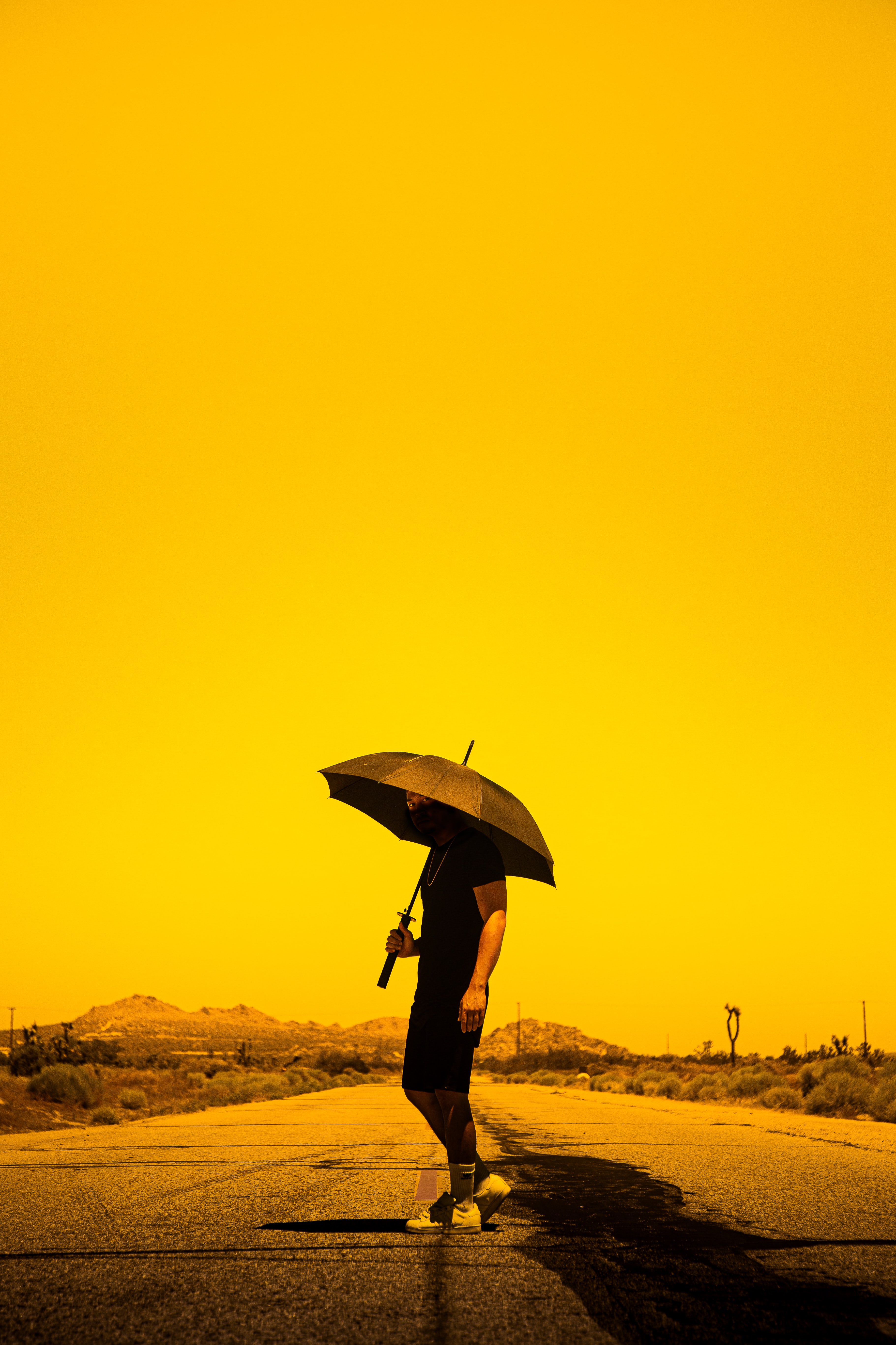 Download Umbrella wallpaper for mobile phone, free Umbrella HD picture