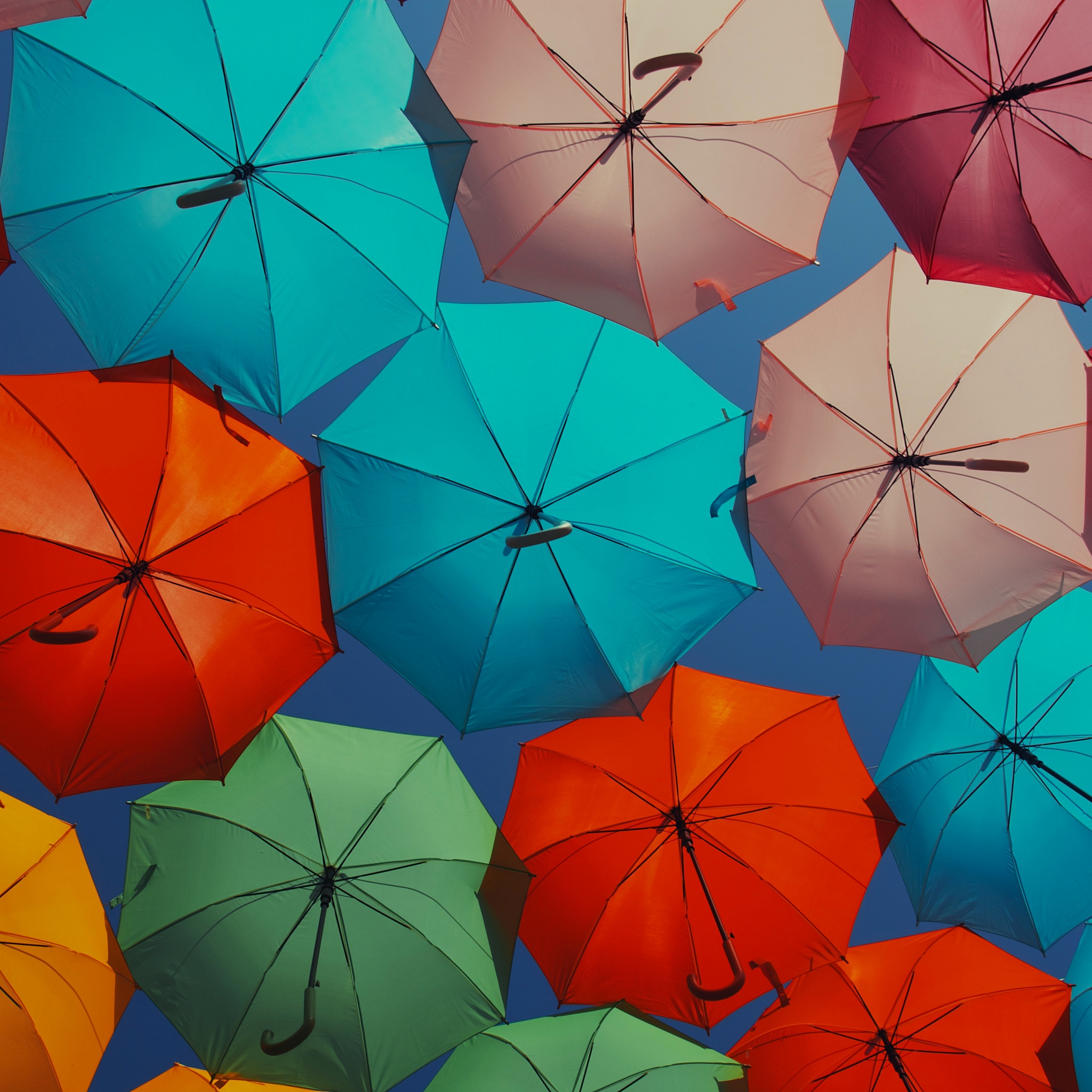 Umbrellas Wallpaper 4K, Multicolor, Colorful, Vibrant