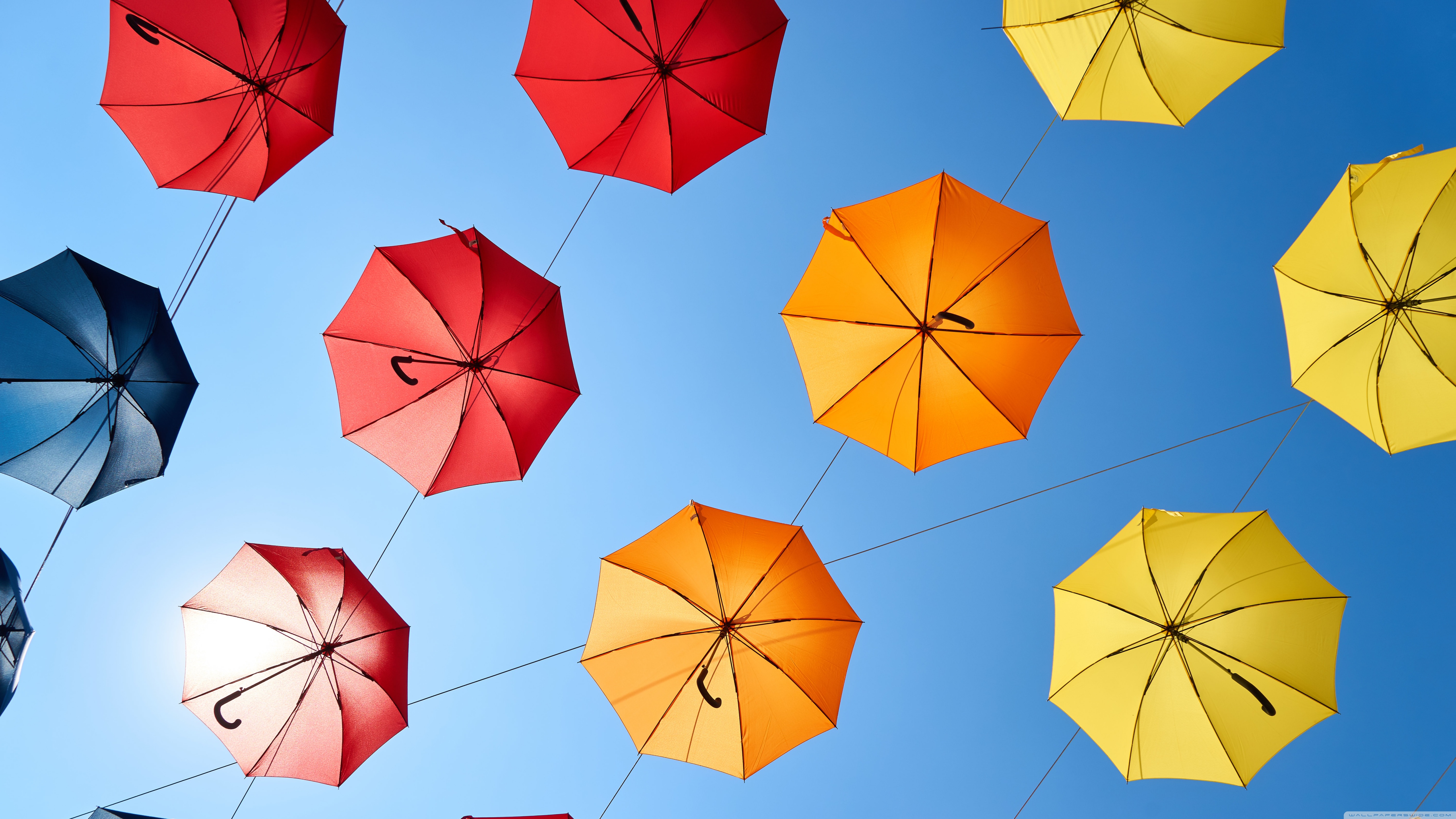 Colorful Umbrellas Ultra HD Desktop Background Wallpaper for 4K UHD TV, Widescreen & UltraWide Desktop & Laptop, Tablet