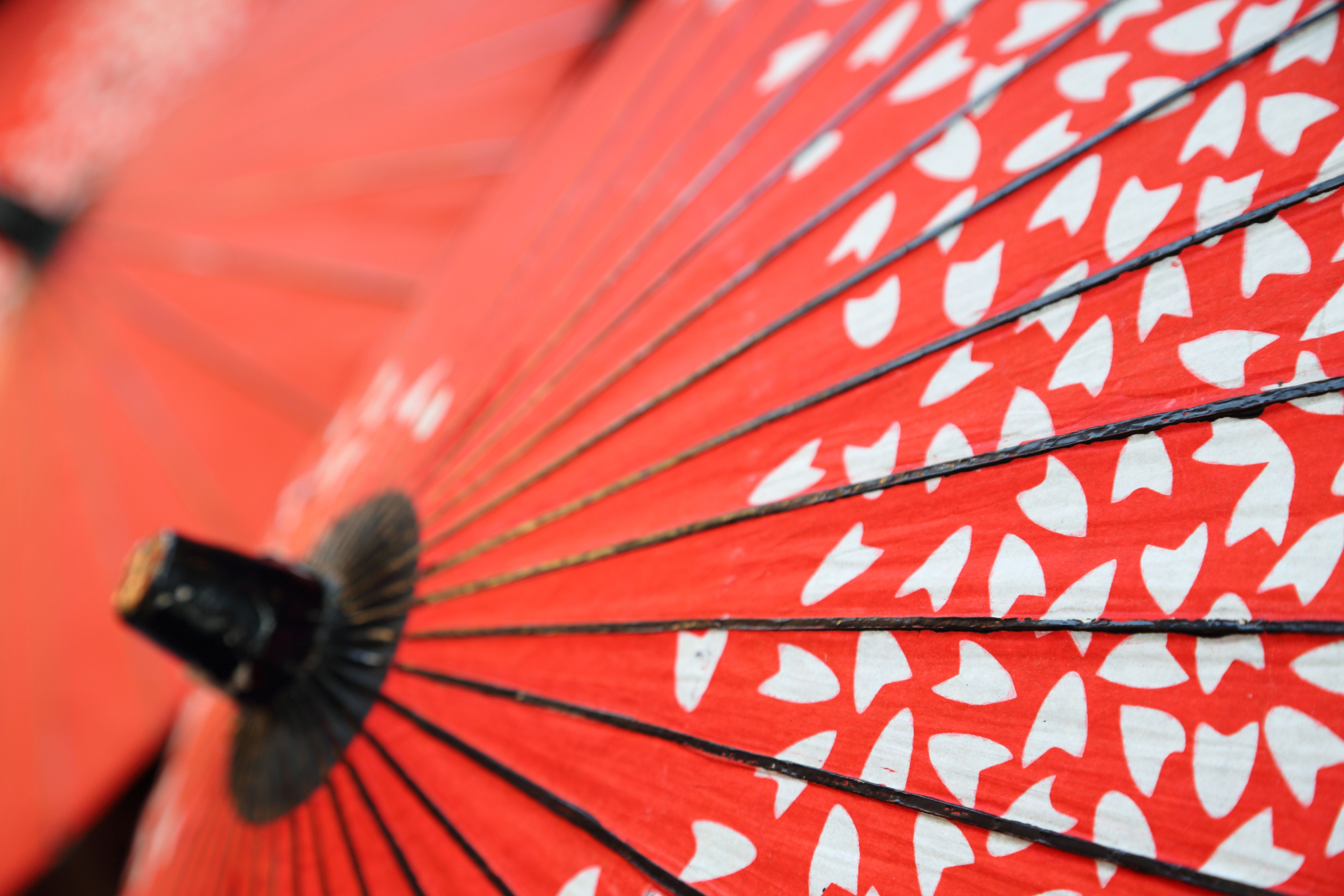 Photography Umbrella 4k Ultra HD Wallpaper