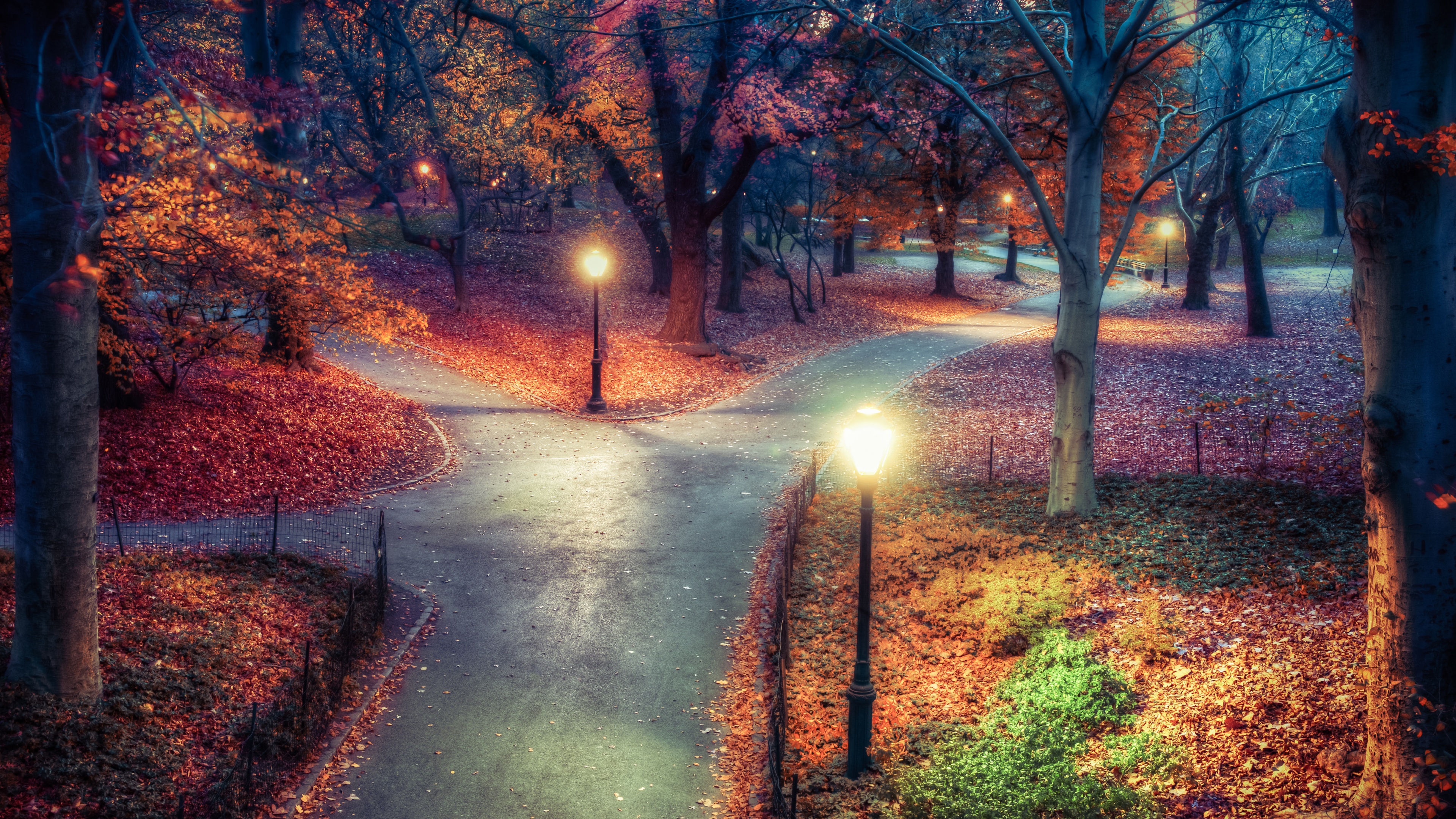 Central Park Wallpaper 4K, New York City, Autumn leaves