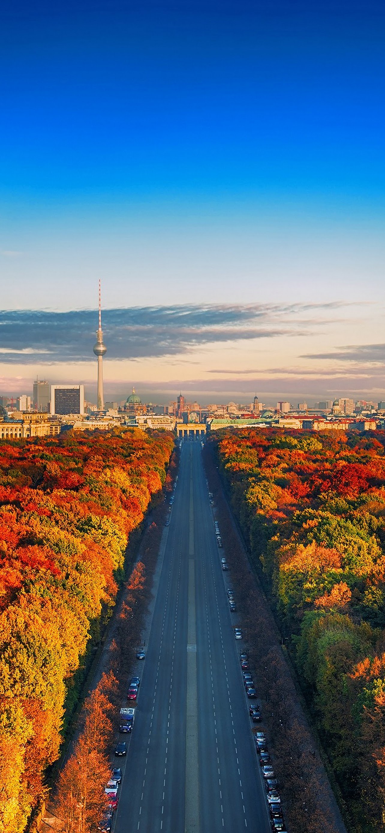 City Nature Landscape Forest Trees Autumn Sky Scenery 4K Wallpaper