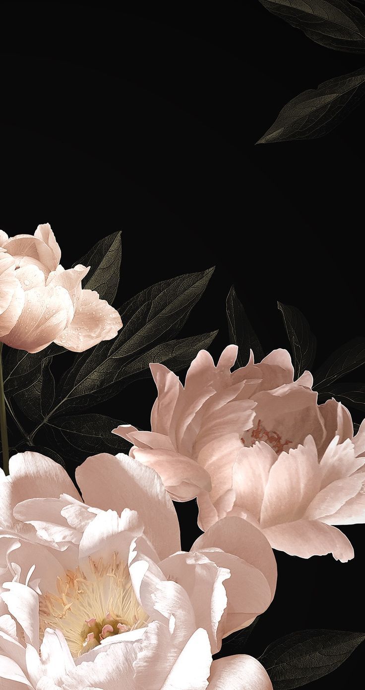 Экраны. Floral wallpaper phone, Flower iphone wallpaper, Floral wallpaper. Floral wallpaper phone, Flower iphone wallpaper, iPhone wallpaper