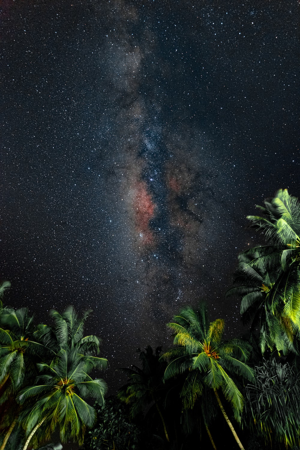 Nature at Night. best free night, star, background and wallpaper photo