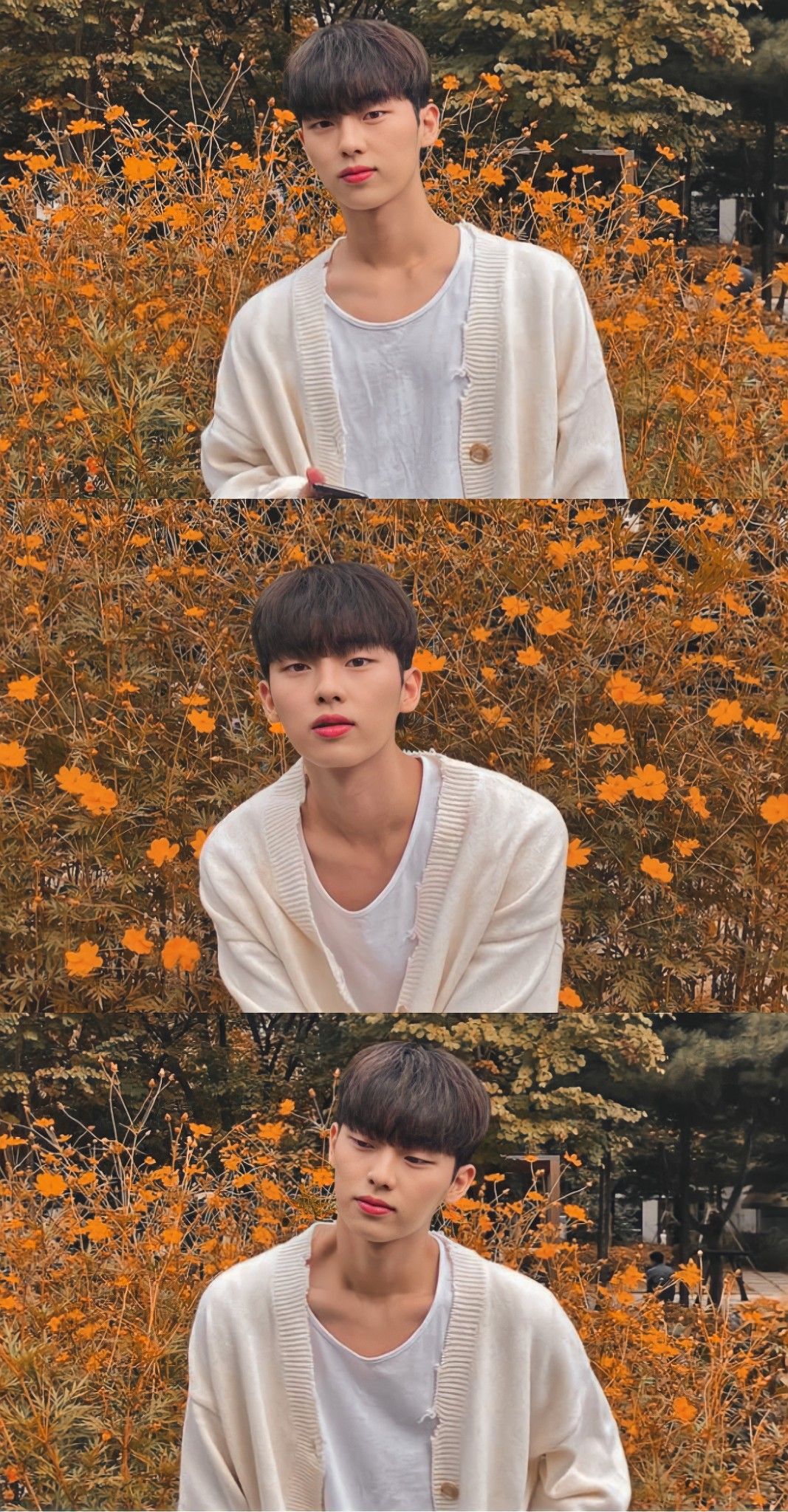 ไอเดีย Choihyunwook 50 รายการ. สามีในอนาคต, แฟน, นักแสดงเกาหลี