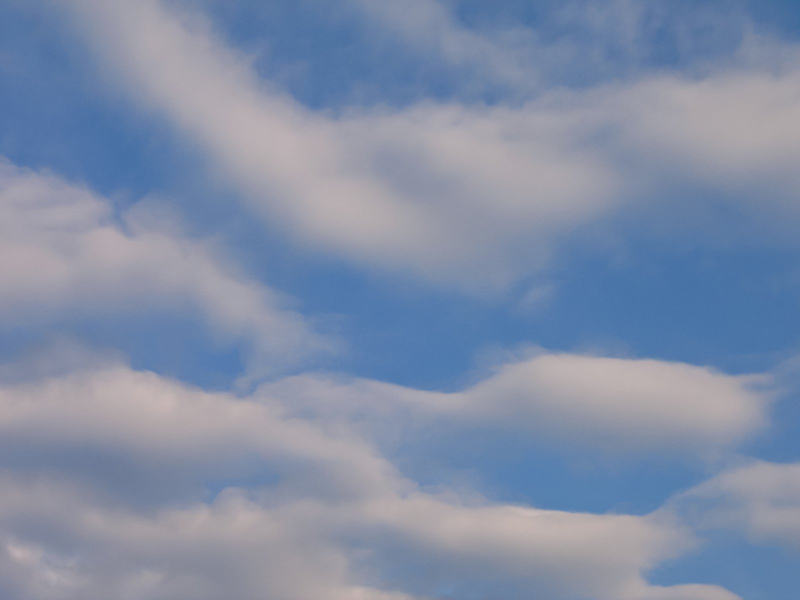 soft clouds Free Photo Download