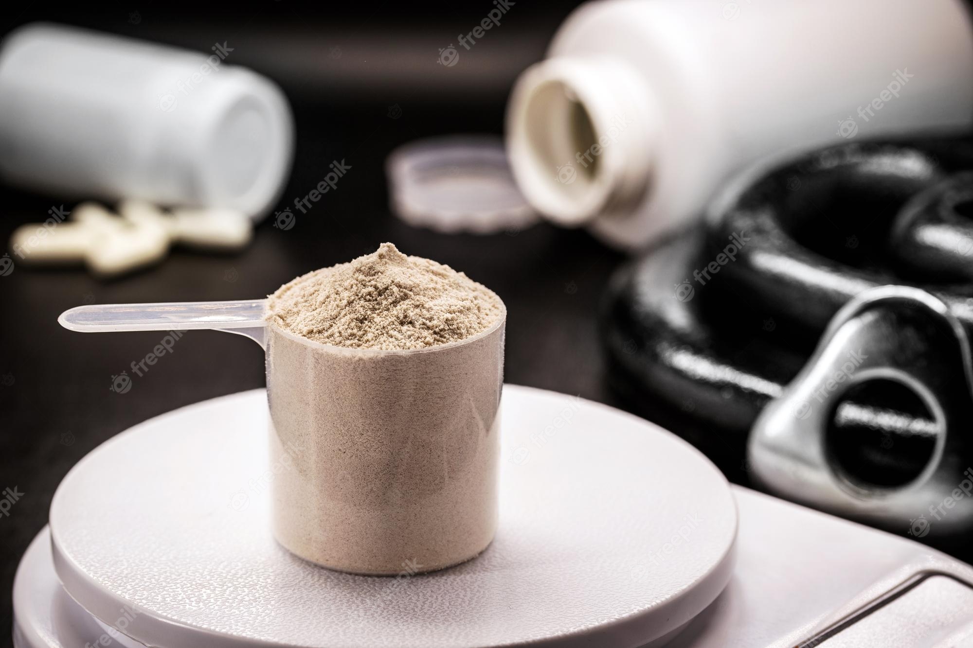 Whey Protein Powder Image