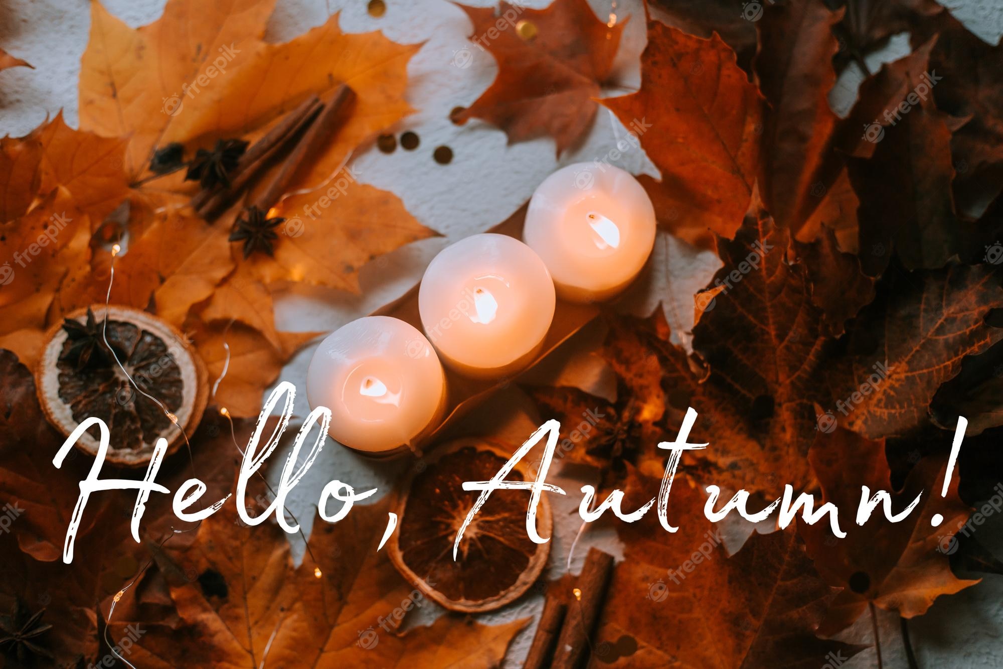 Premium Photo. Banner hello autumn cozy vibes a new season autumn leaves an article about autumn
