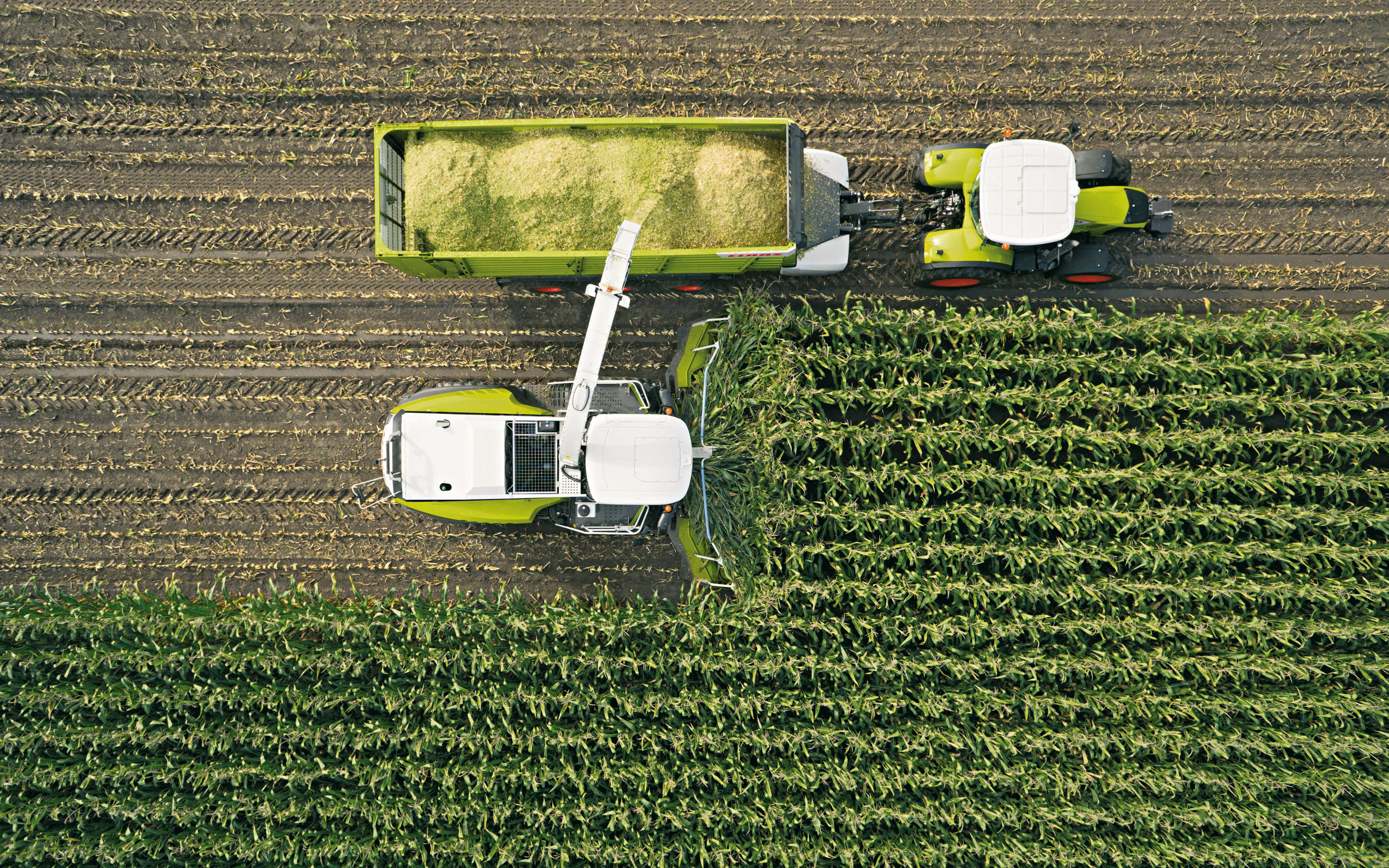 Wallpaper, farming, farmers, claas, tractors 2560x1600