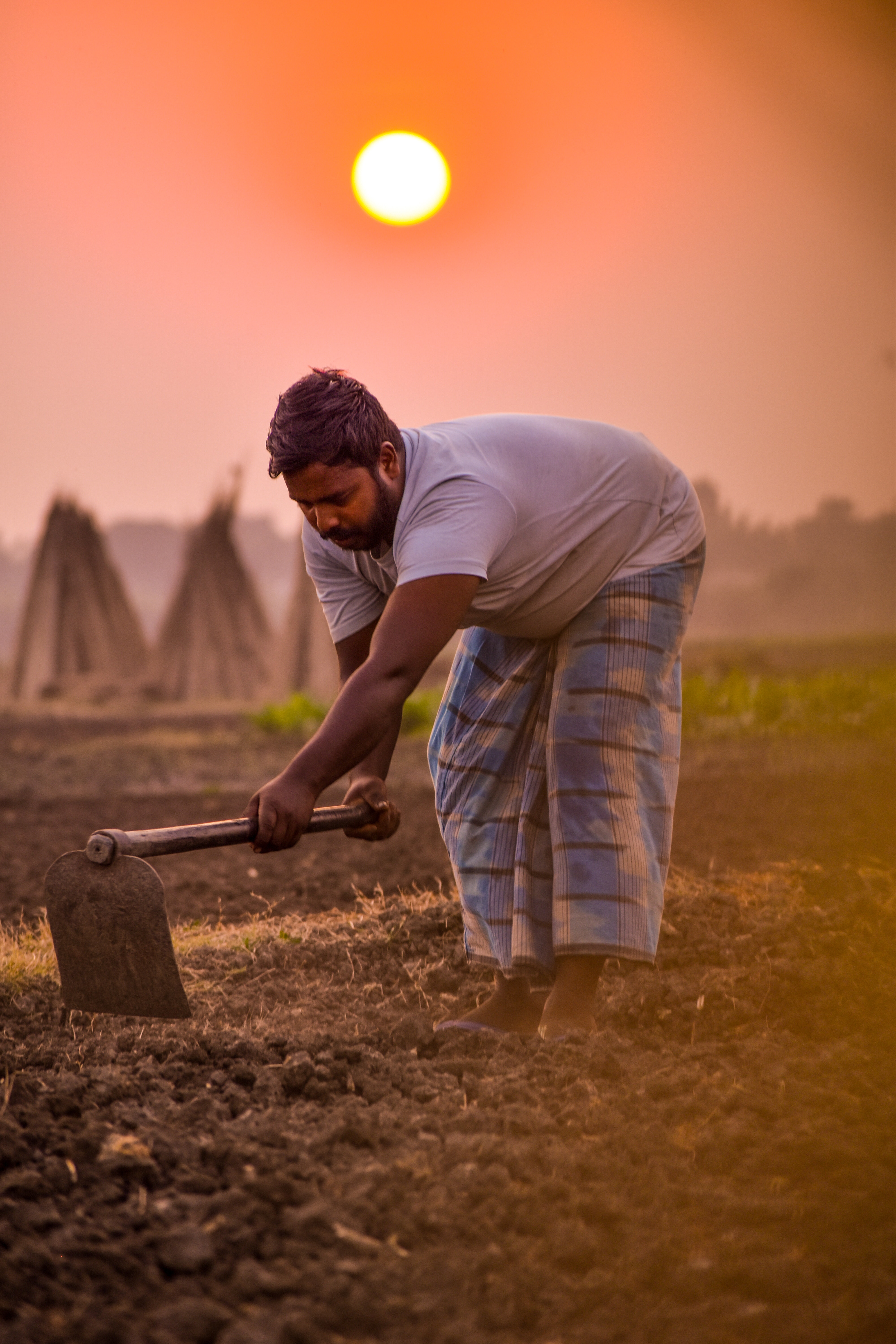 Farmer Working in the Field at Sunset · Free